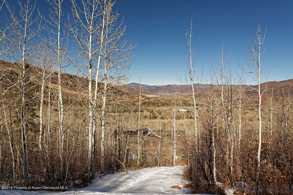 44 Falcon Road, Aspen, CO 81611 - Photo 7
