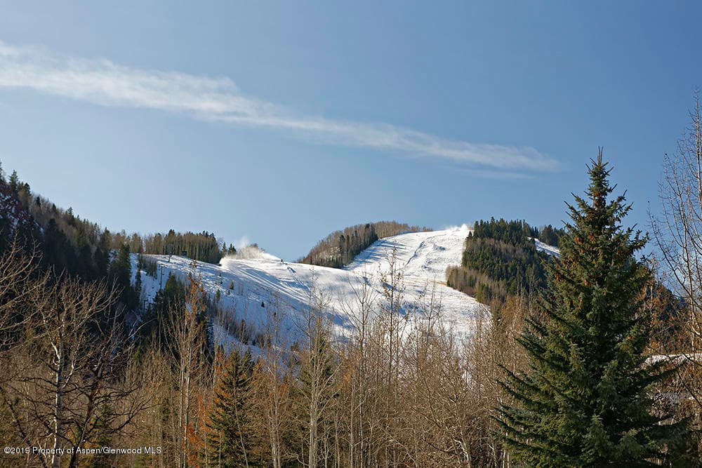 44 Falcon Road, Aspen, CO 81611 - Photo 12