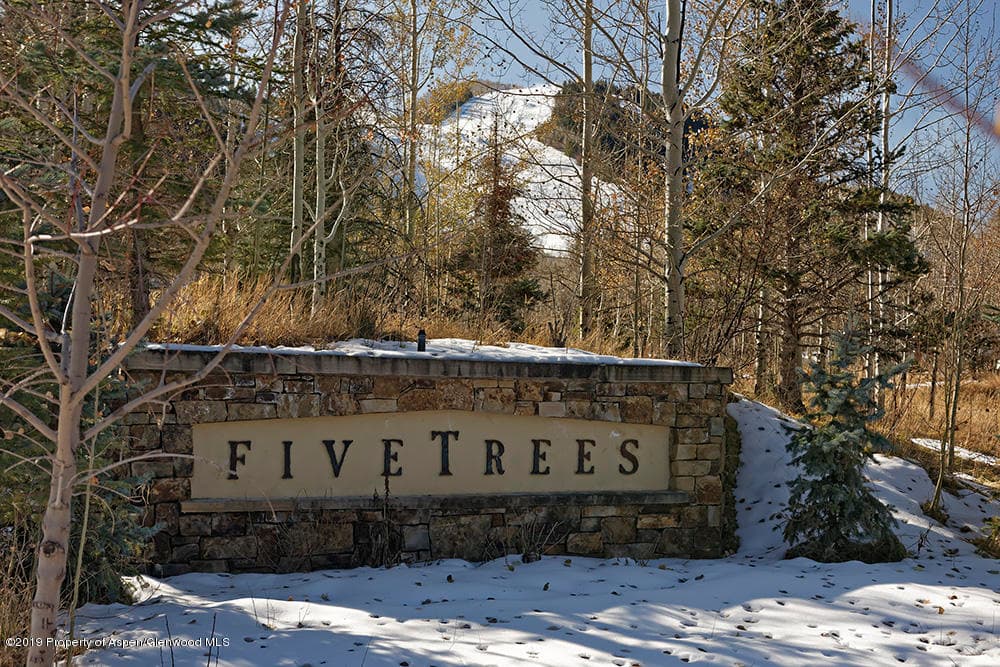 44 Falcon Road, Aspen, CO 81611 - Photo 13