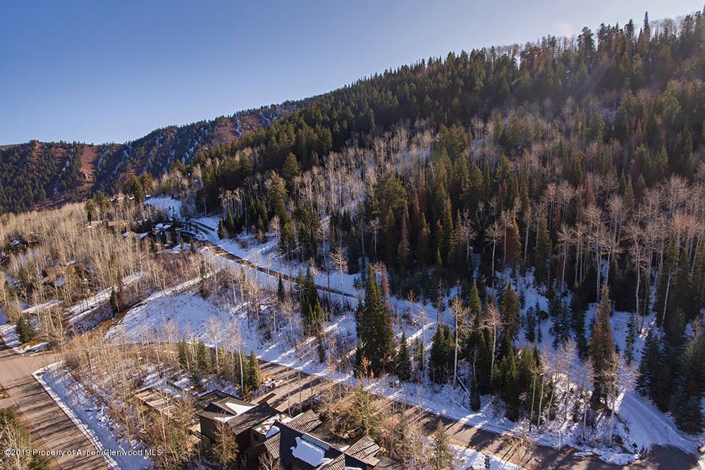 44 Falcon Road, Aspen, CO 81611 - Photo 15