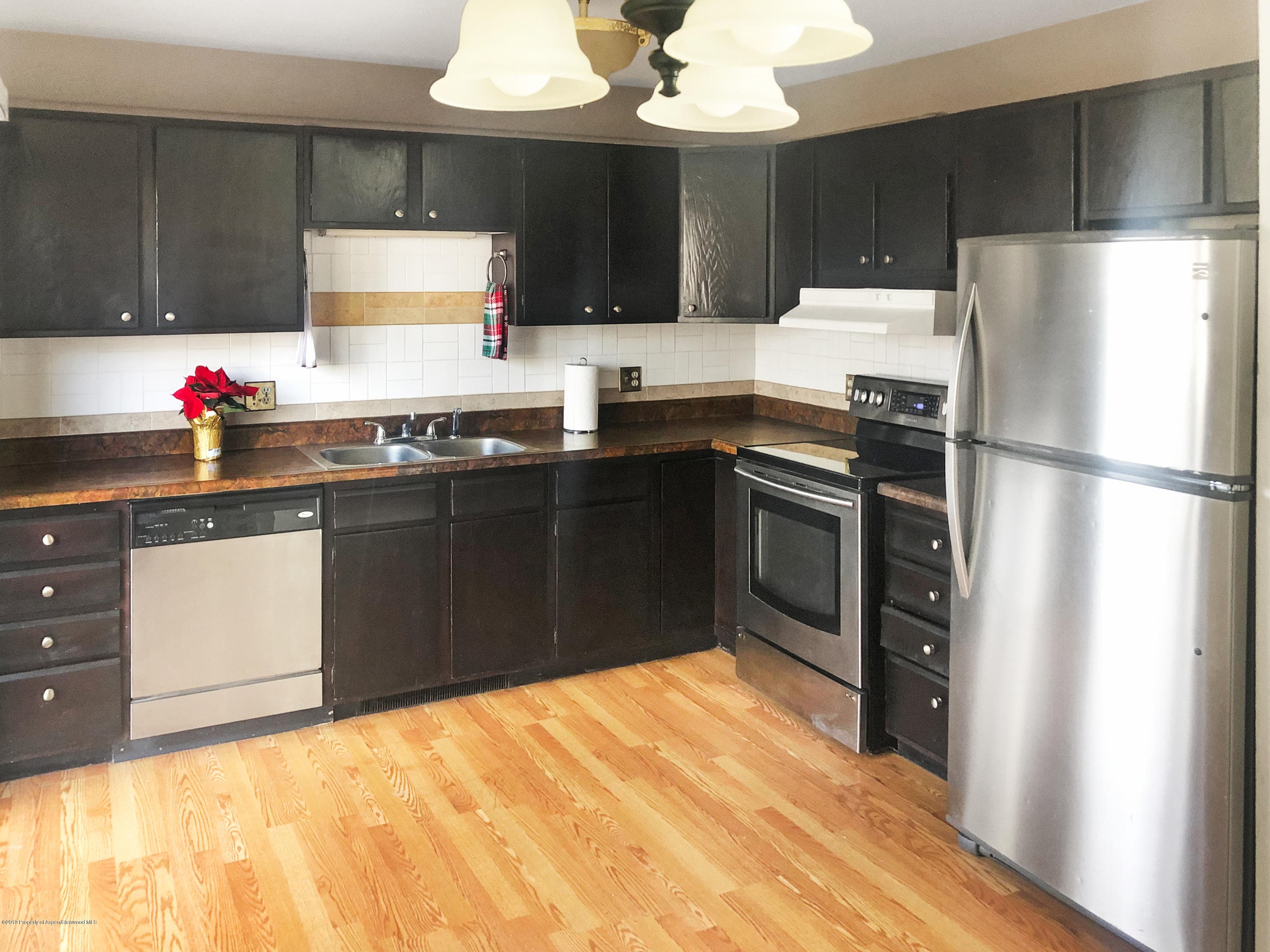 883 Colorado Avenue, Carbondale, CO 81623 - Photo 6