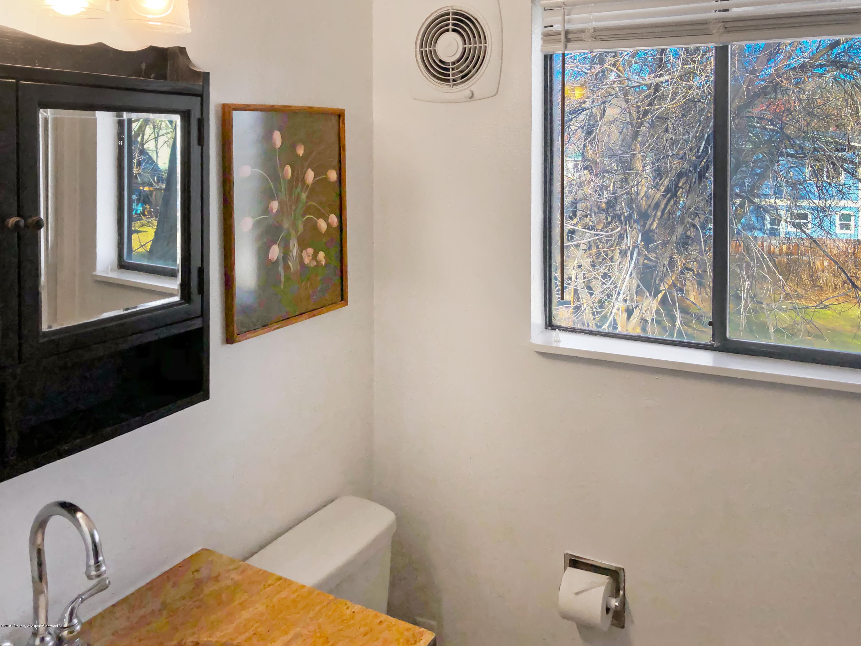 883 Colorado Avenue, Carbondale, CO 81623 - Photo 13
