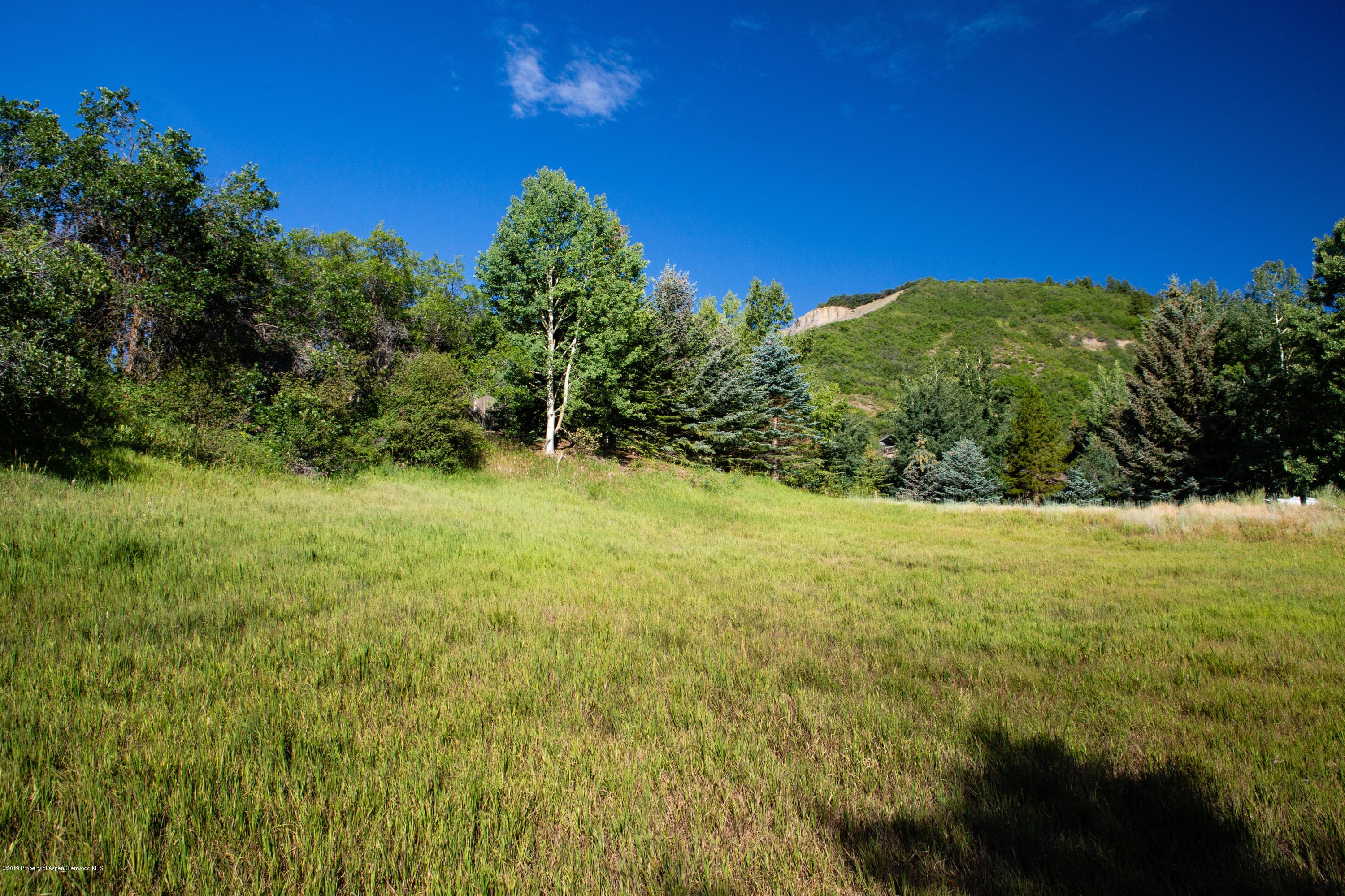 196 Terrace Drive - Photo 6