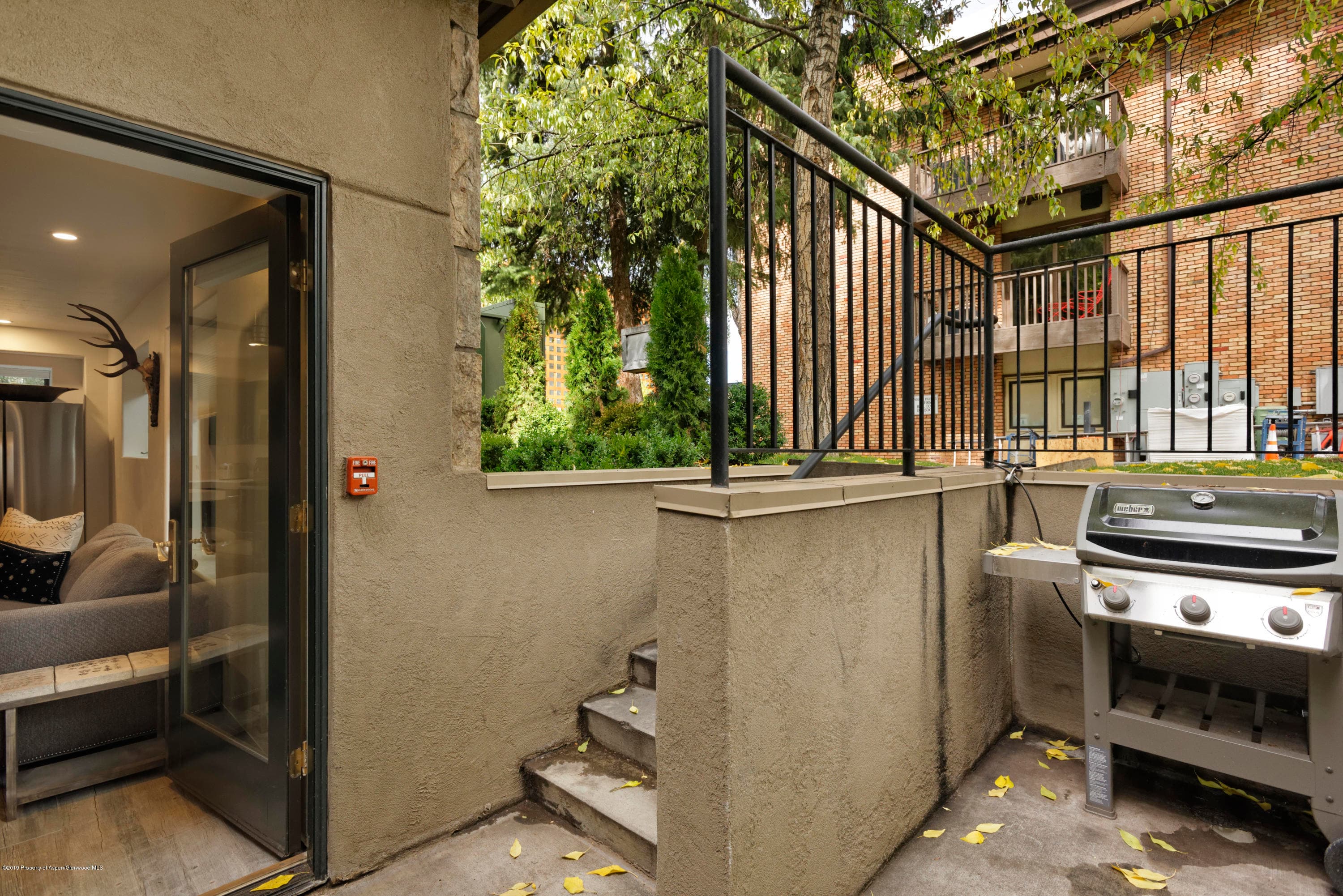 700 E Cooper Avenue, Aspen, CO 81611 - Photo 38