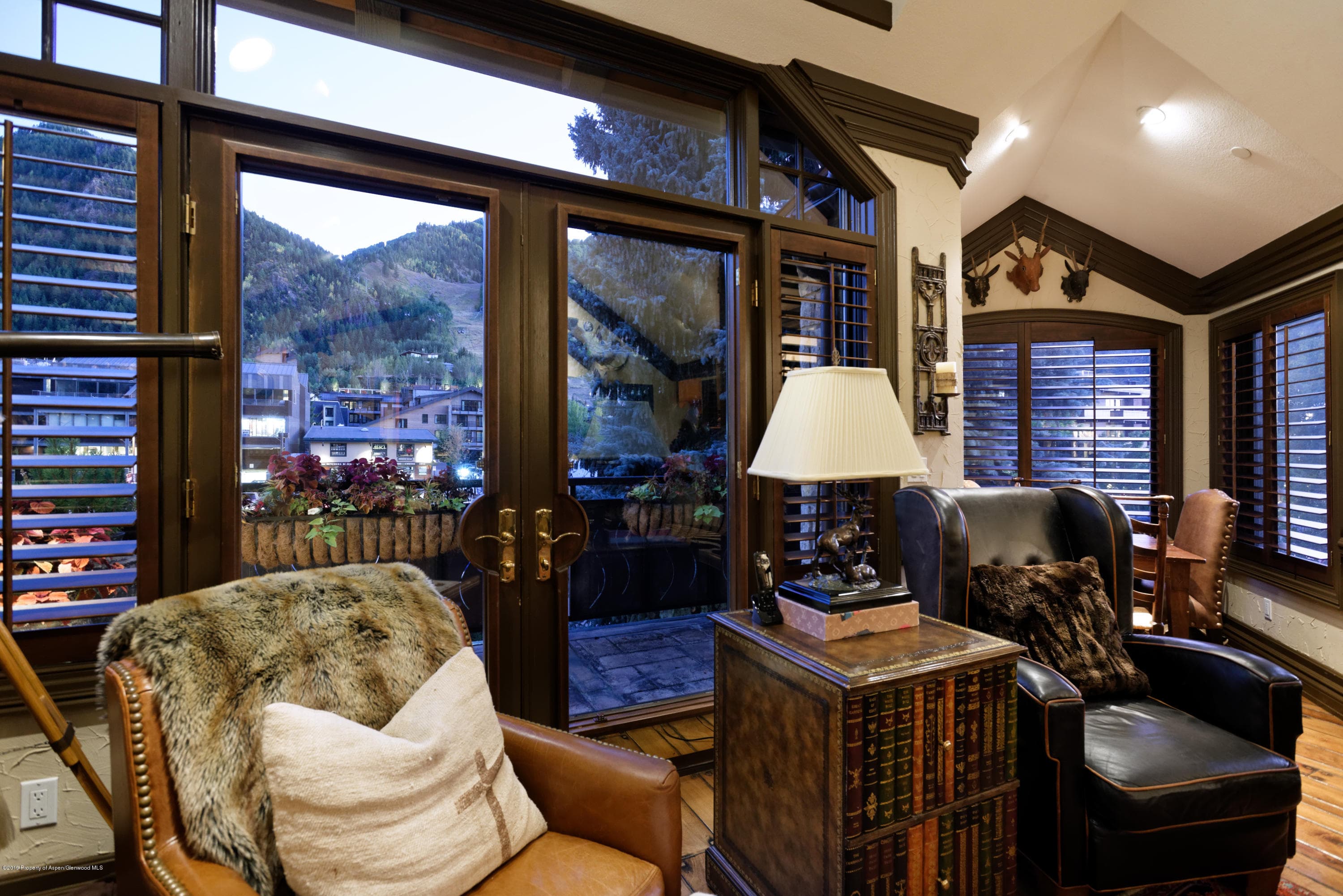 700 E Cooper Avenue, Aspen, CO 81611 - Photo 7