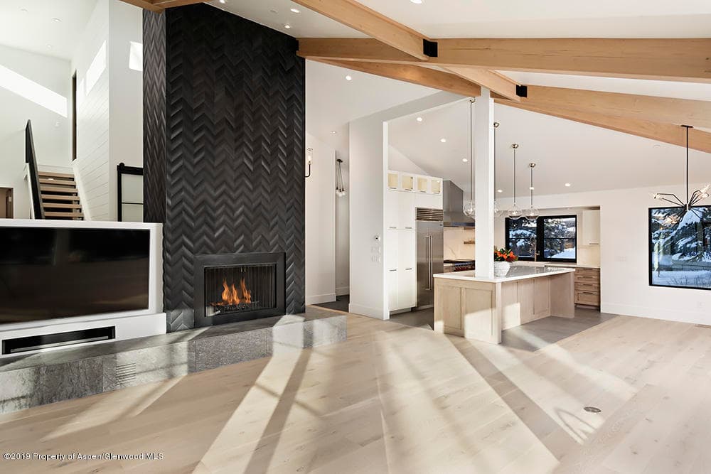 735 Castle Creek Drive 1, Aspen, CO 81611 - Photo 13