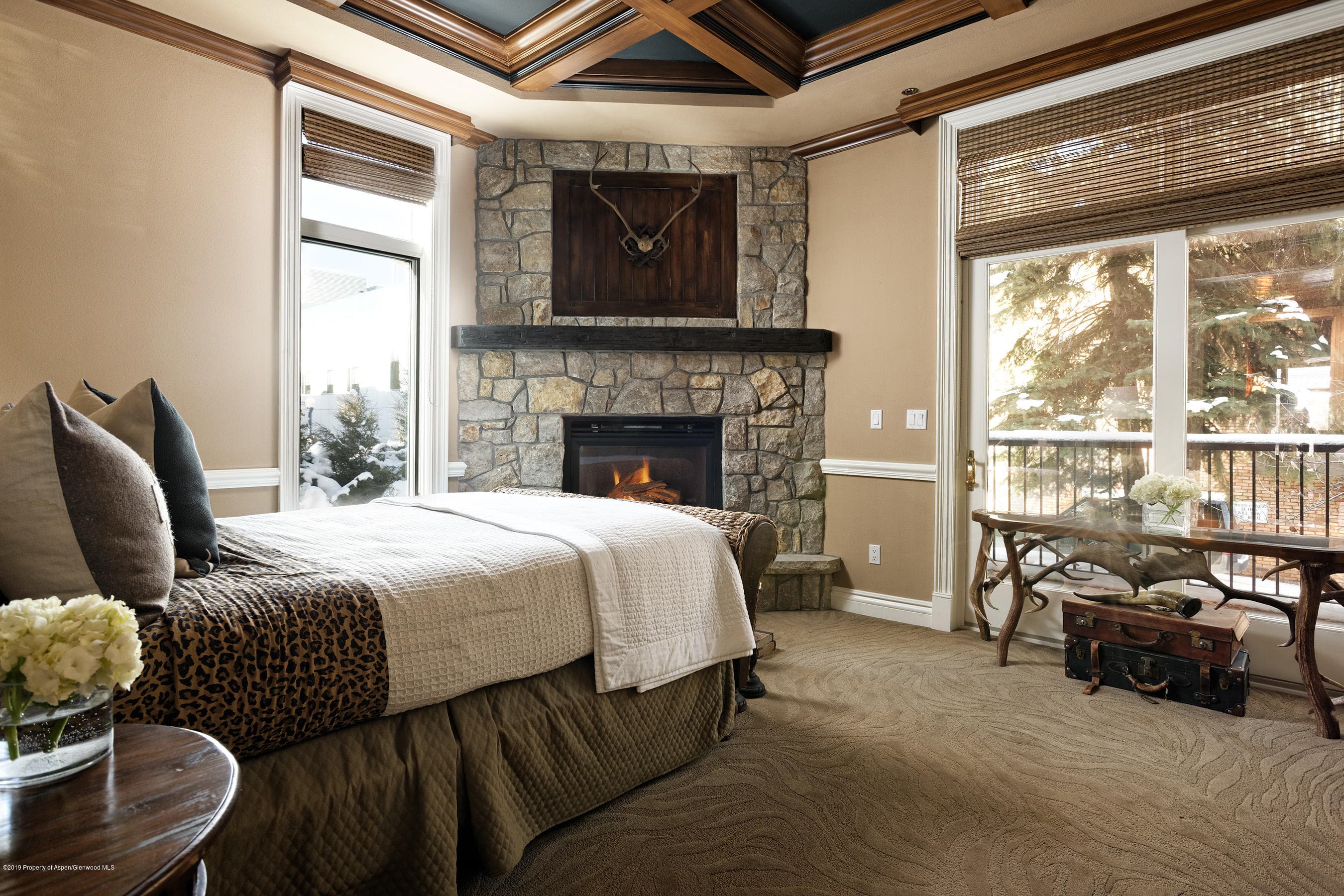 700 E Cooper Avenue, Aspen, CO 81611 - Photo 25