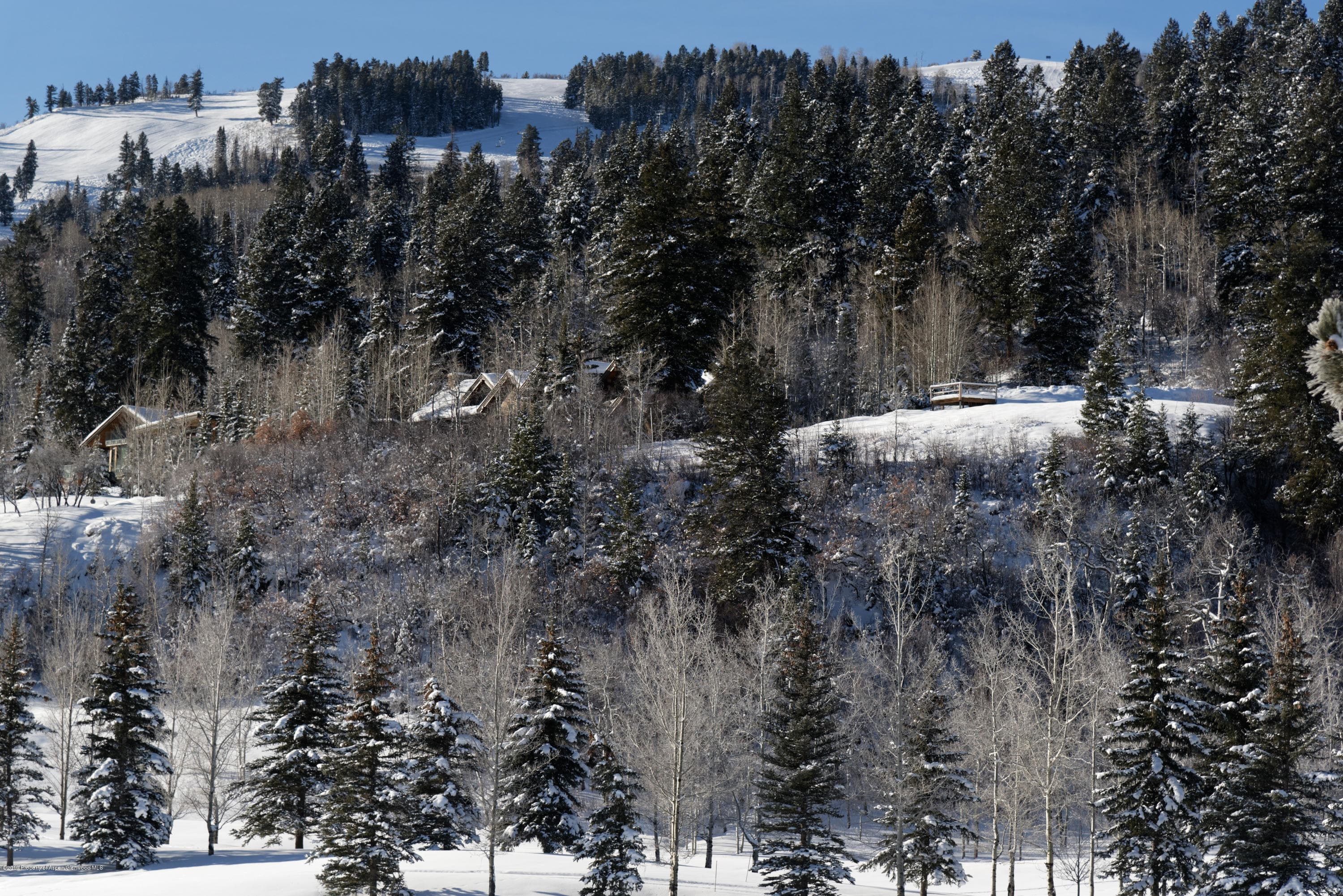 699 Pfister, Aspen, CO 81611 - Photo 11