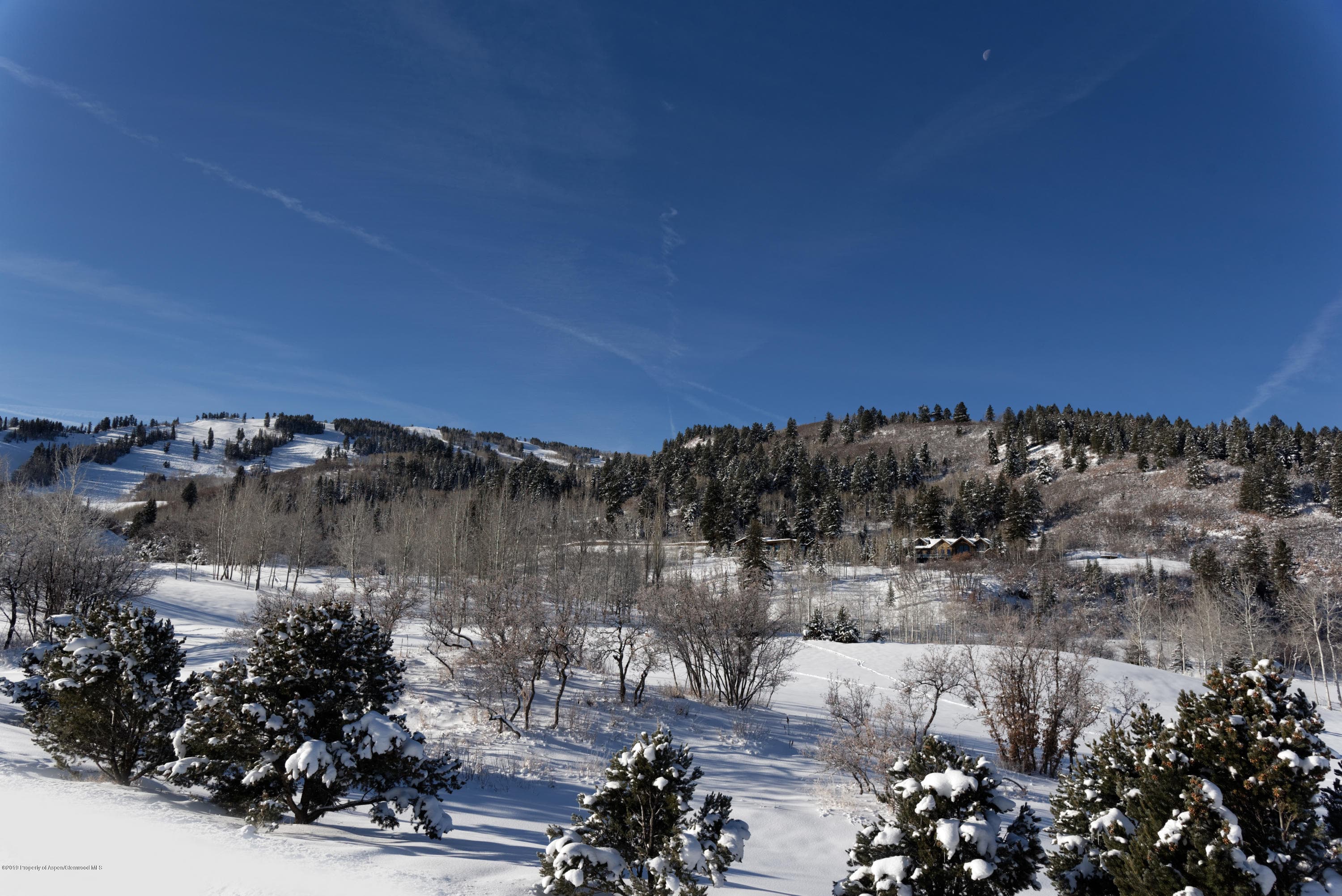 699 Pfister, Aspen, CO 81611 - Photo 15