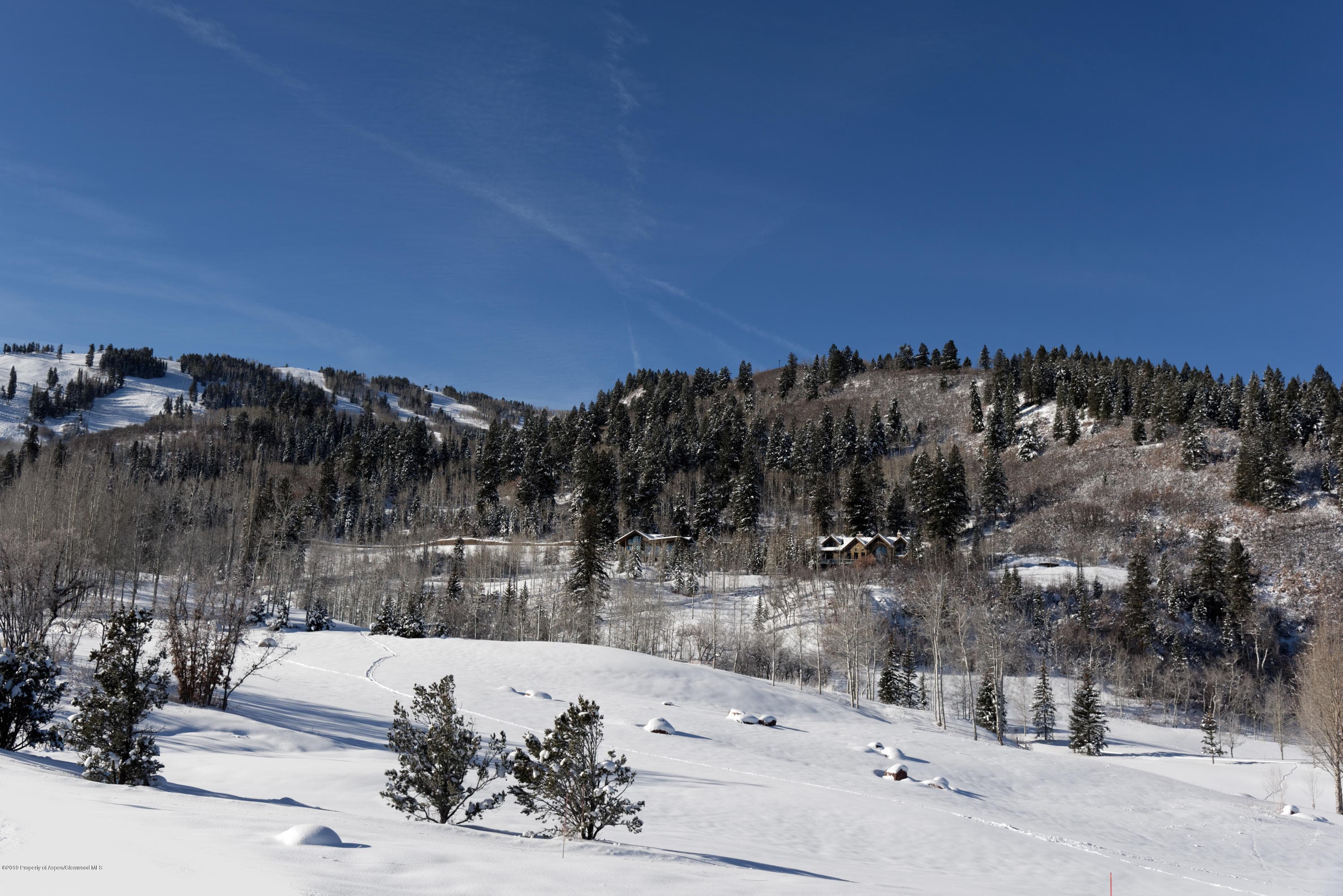 699 Pfister, Aspen, CO 81611 - Photo 16