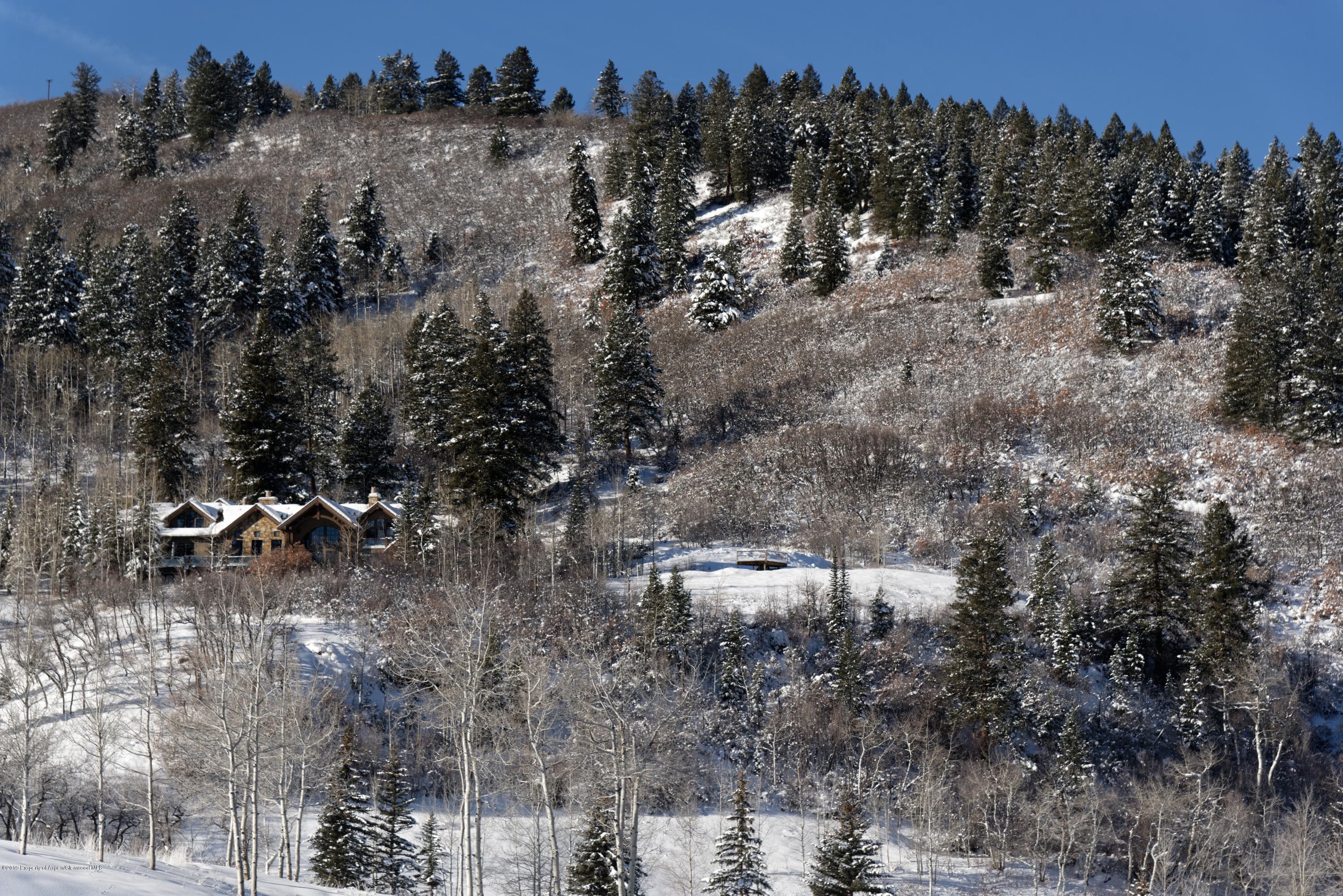 699 Pfister, Aspen, CO 81611 - Photo 17