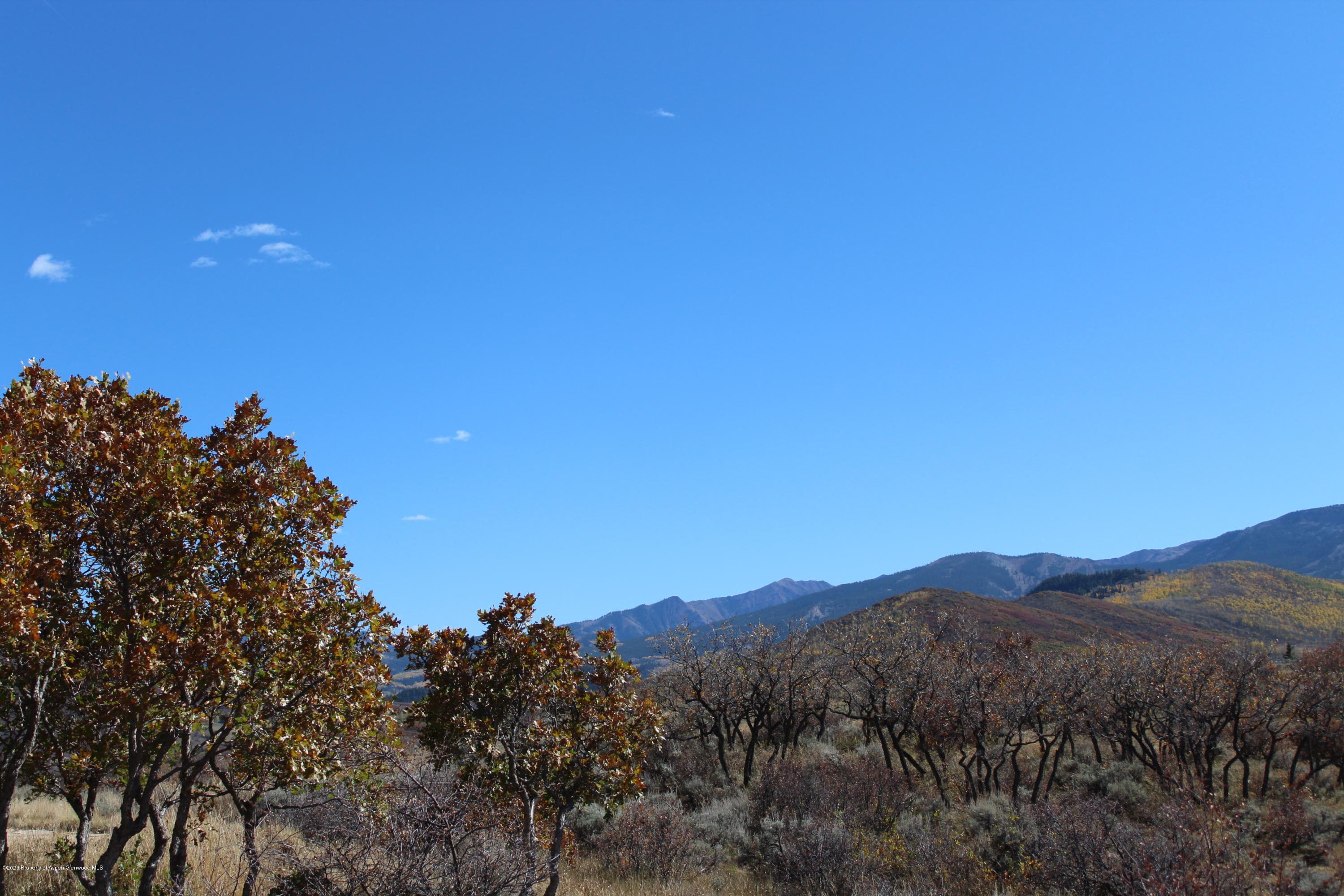 350 Rabbit Way, Snowmass, CO 81654 - Photo 7