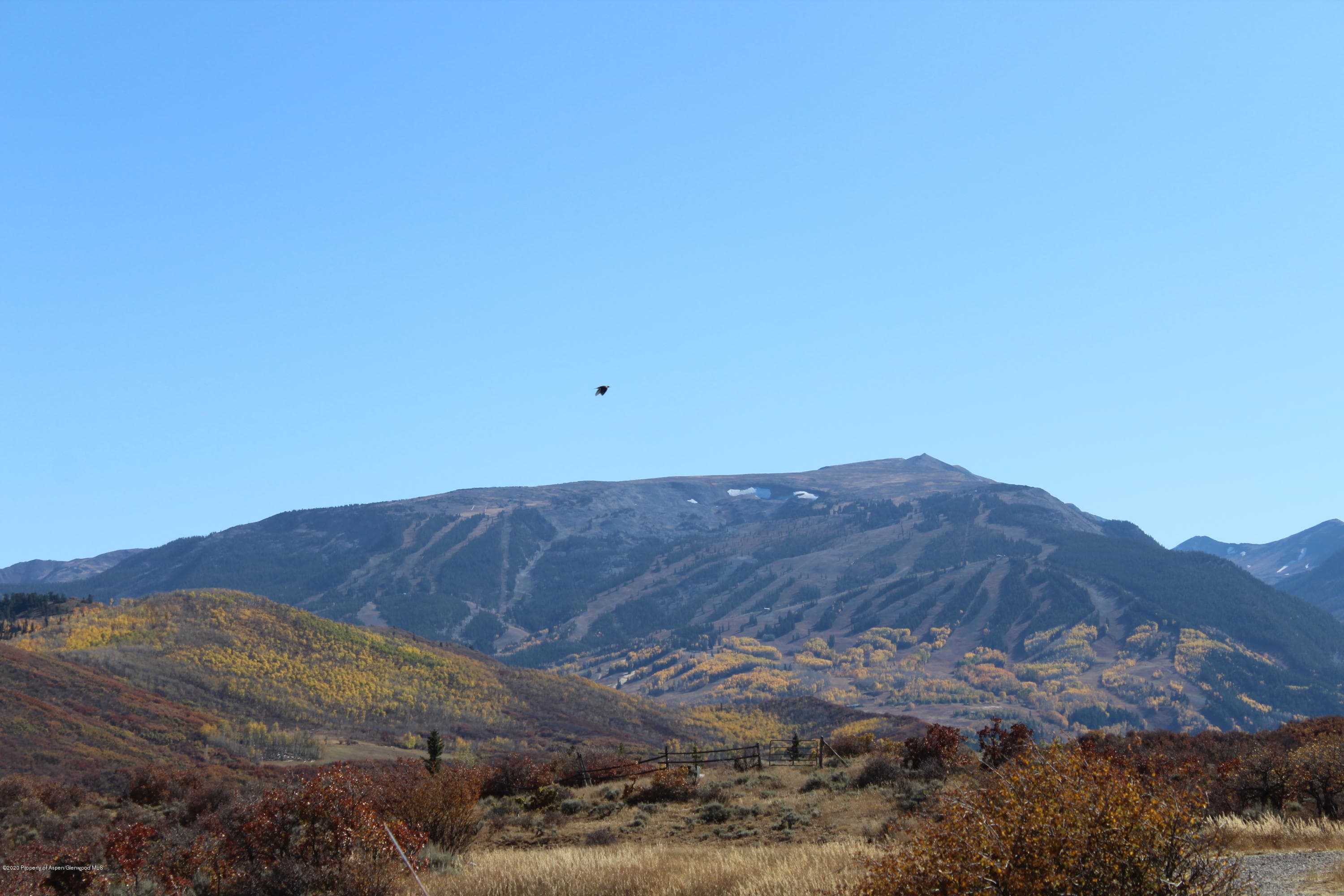 350 Rabbit Way, Snowmass, CO 81654 - Photo 23