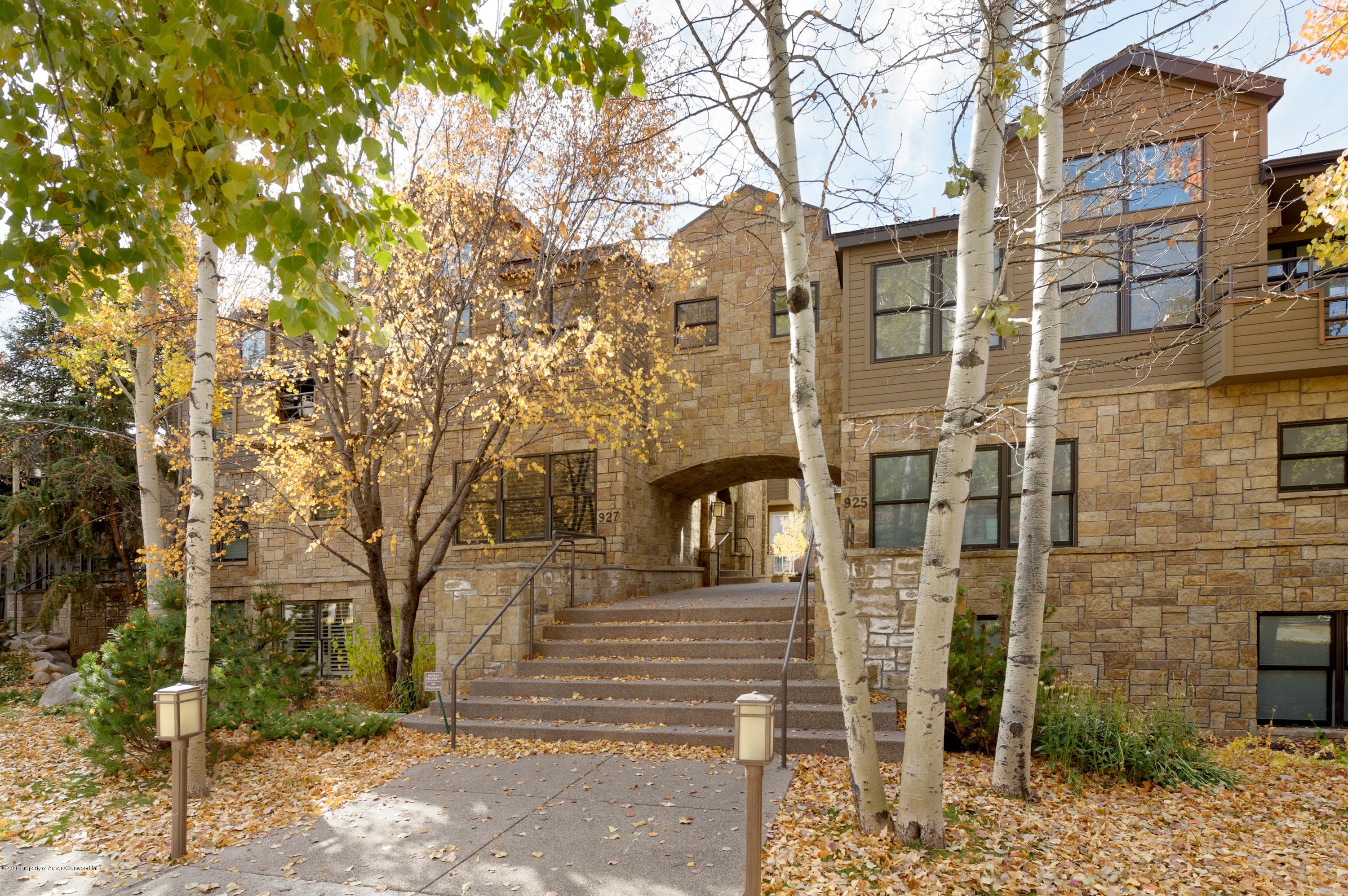 927 E Durant Avenue 3, Aspen, CO 81611 - Photo 42
