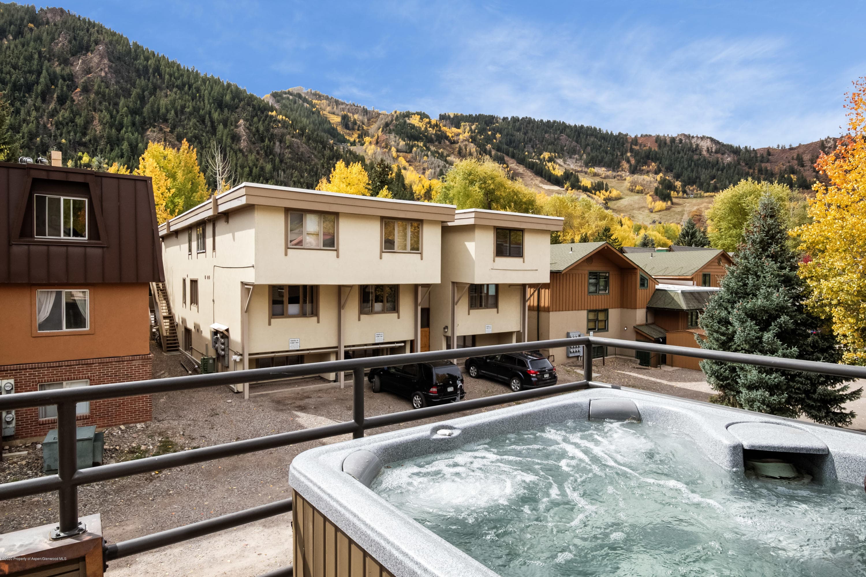 927 E Durant Avenue 3, Aspen, CO 81611 - Photo 41