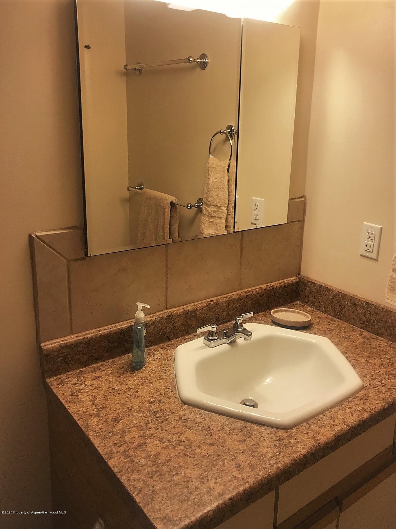 630 E cooper Avenue 5, Aspen, CO 81611 - Photo 8