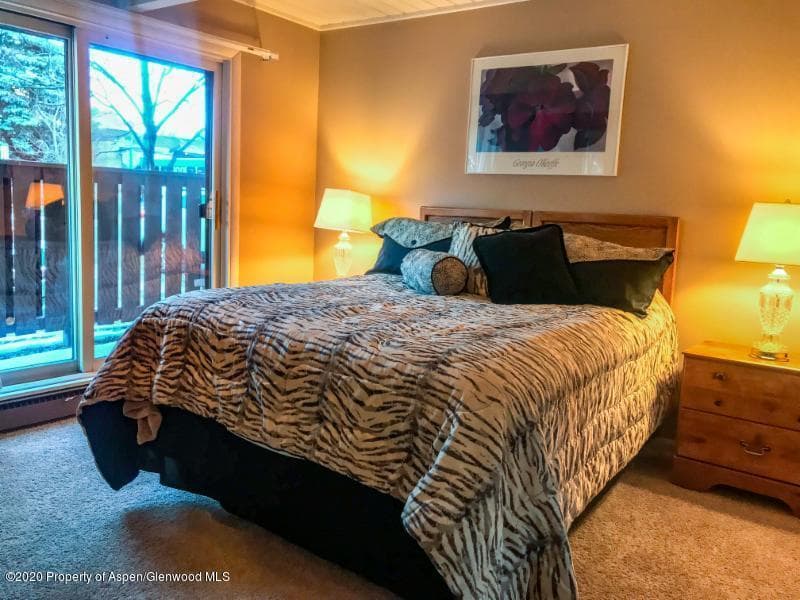 630 E cooper Avenue 5, Aspen, CO 81611 - Photo 4