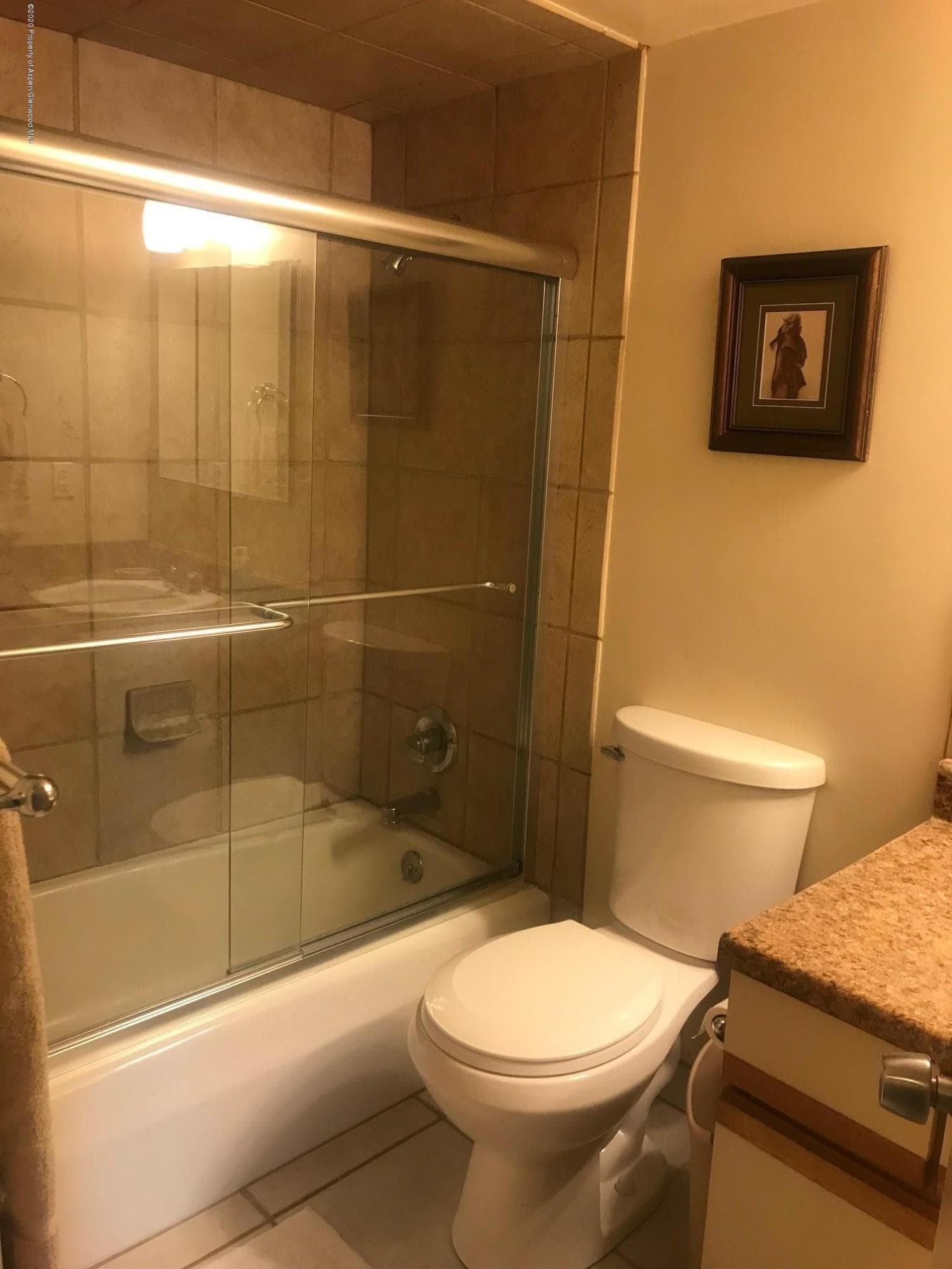 630 E cooper Avenue 5, Aspen, CO 81611 - Photo 7