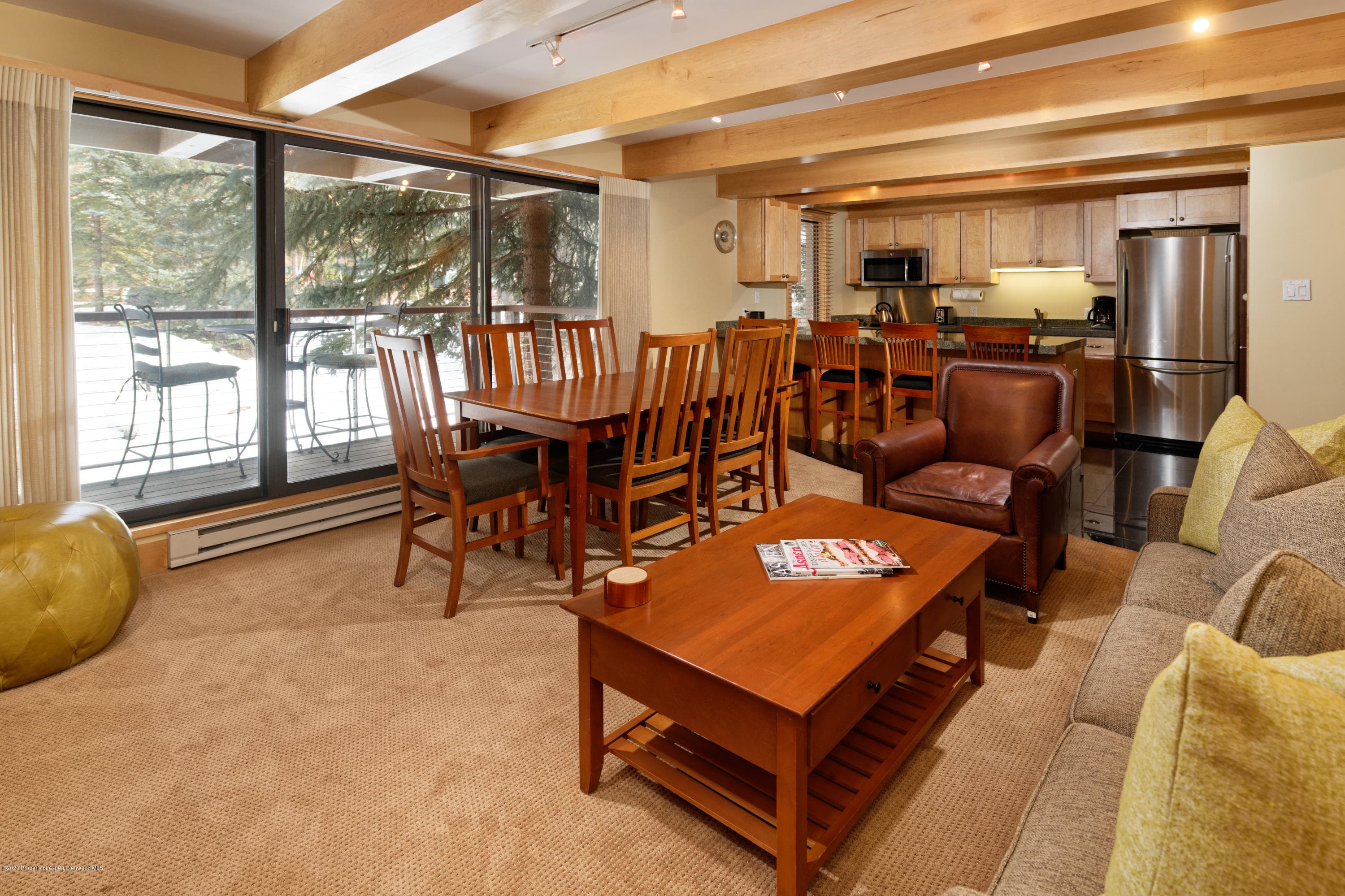 1034 E Cooper Avenue Unit 13A, Aspen, CO 81611 - Photo 2