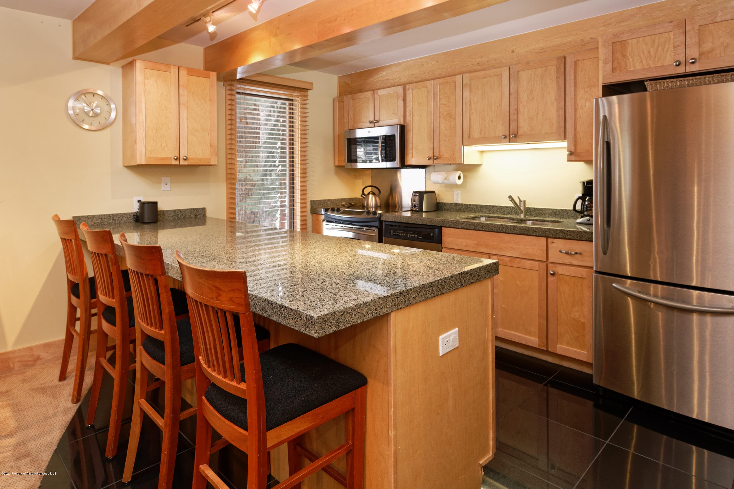 1034 E Cooper Avenue Unit 13A, Aspen, CO 81611 - Photo 6