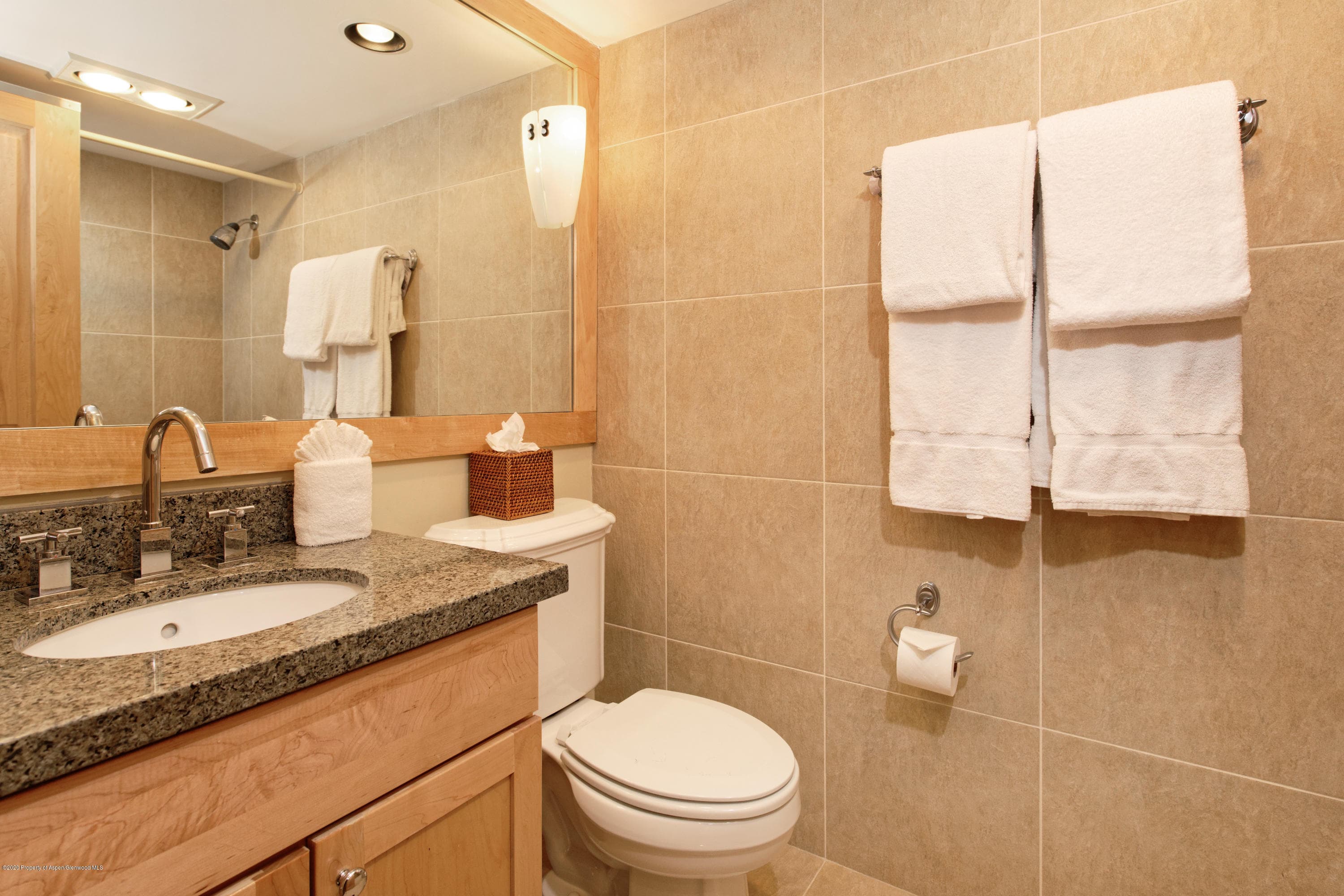 1034 E Cooper Avenue Unit 13A, Aspen, CO 81611 - Photo 11