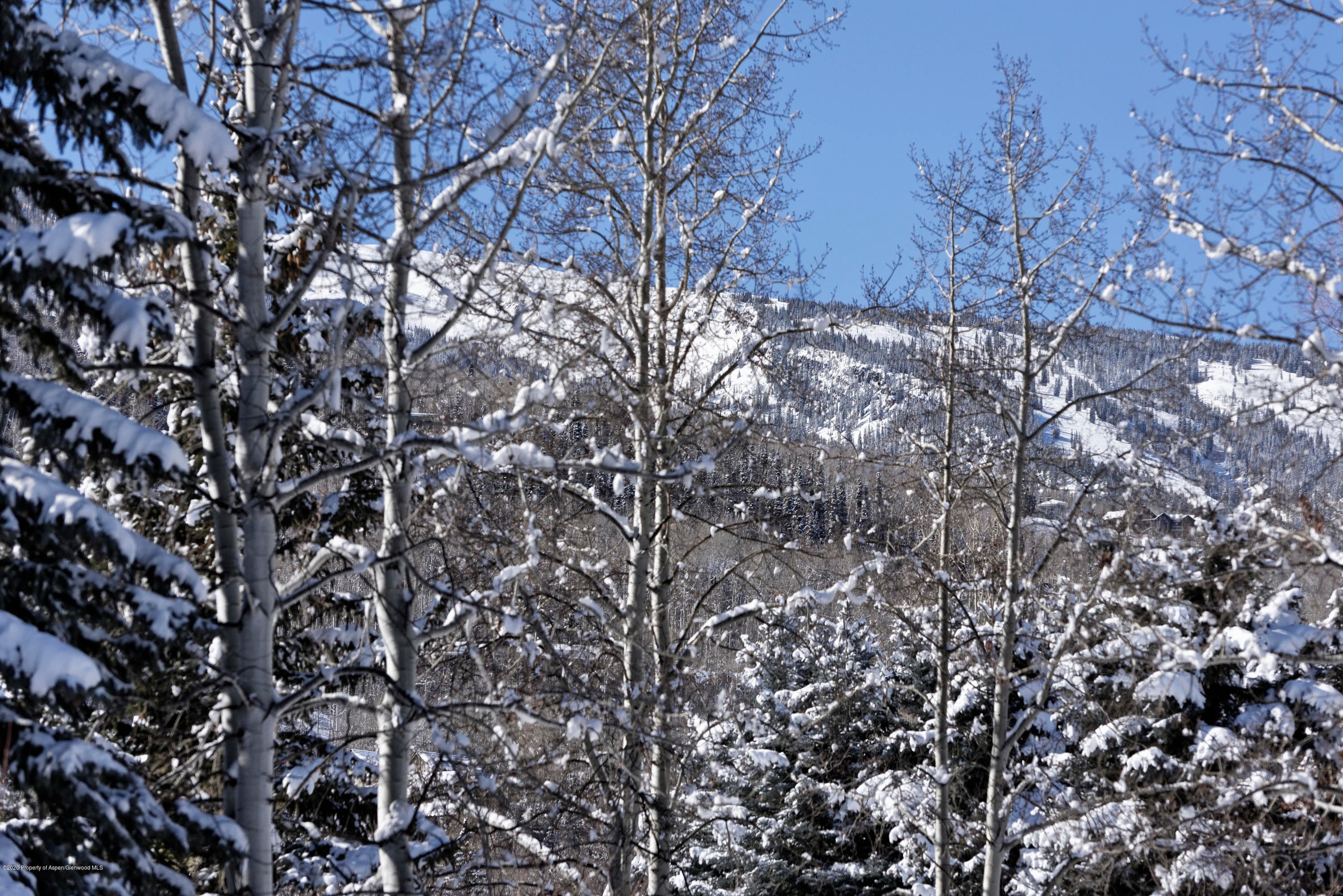 467 Snowmass Club Circle 27, Snowmass Village, CO 81615 - Photo 20