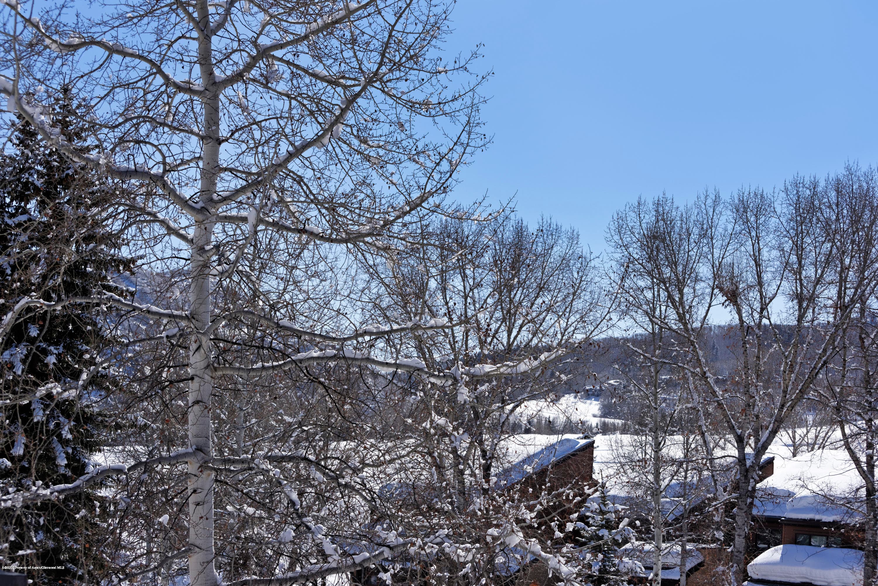 467 Snowmass Club Circle 27, Snowmass Village, CO 81615 - Photo 22