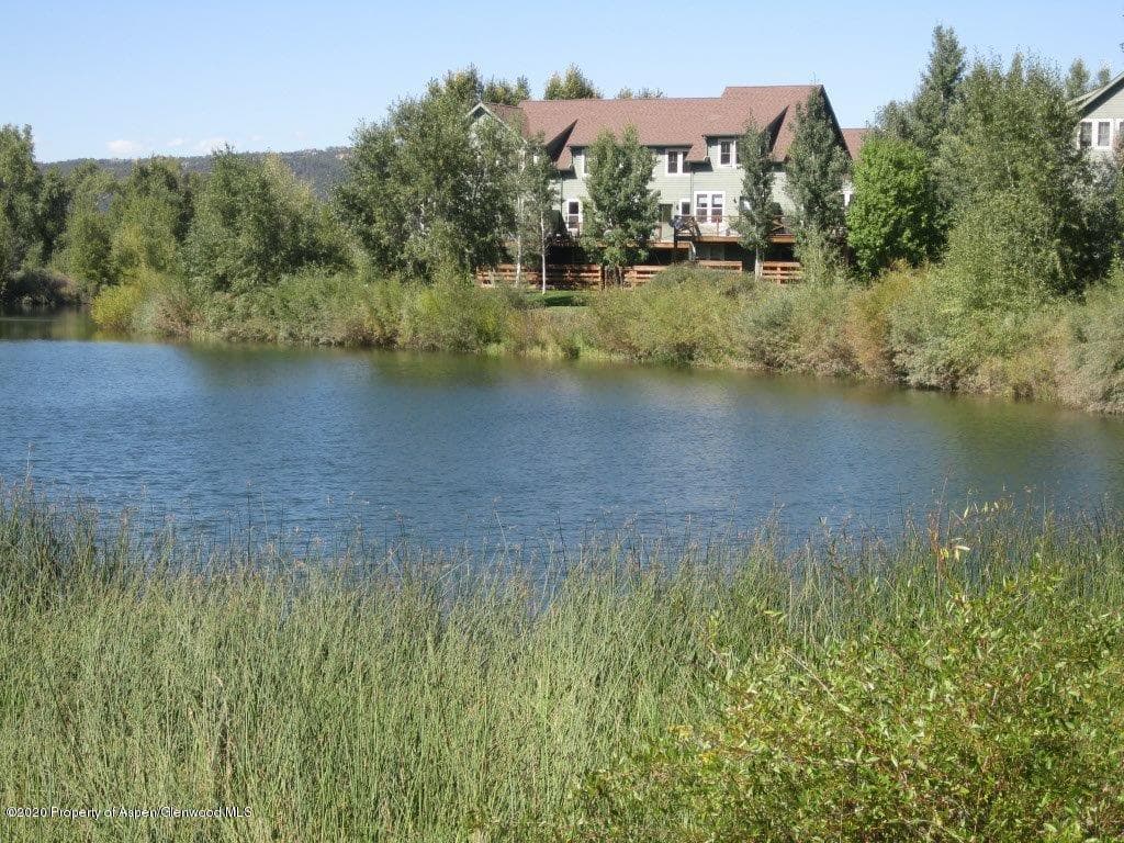 209 Lakeside Court Court, Basalt, CO 81621 - Photo 10