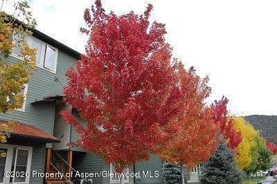209 Lakeside Court Court, Basalt, CO 81621 - Photo 11