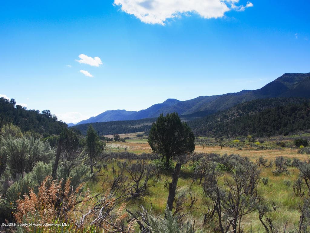 00 W RIFLE CREEK Road, Rifle, CO 81650 - Photo 8