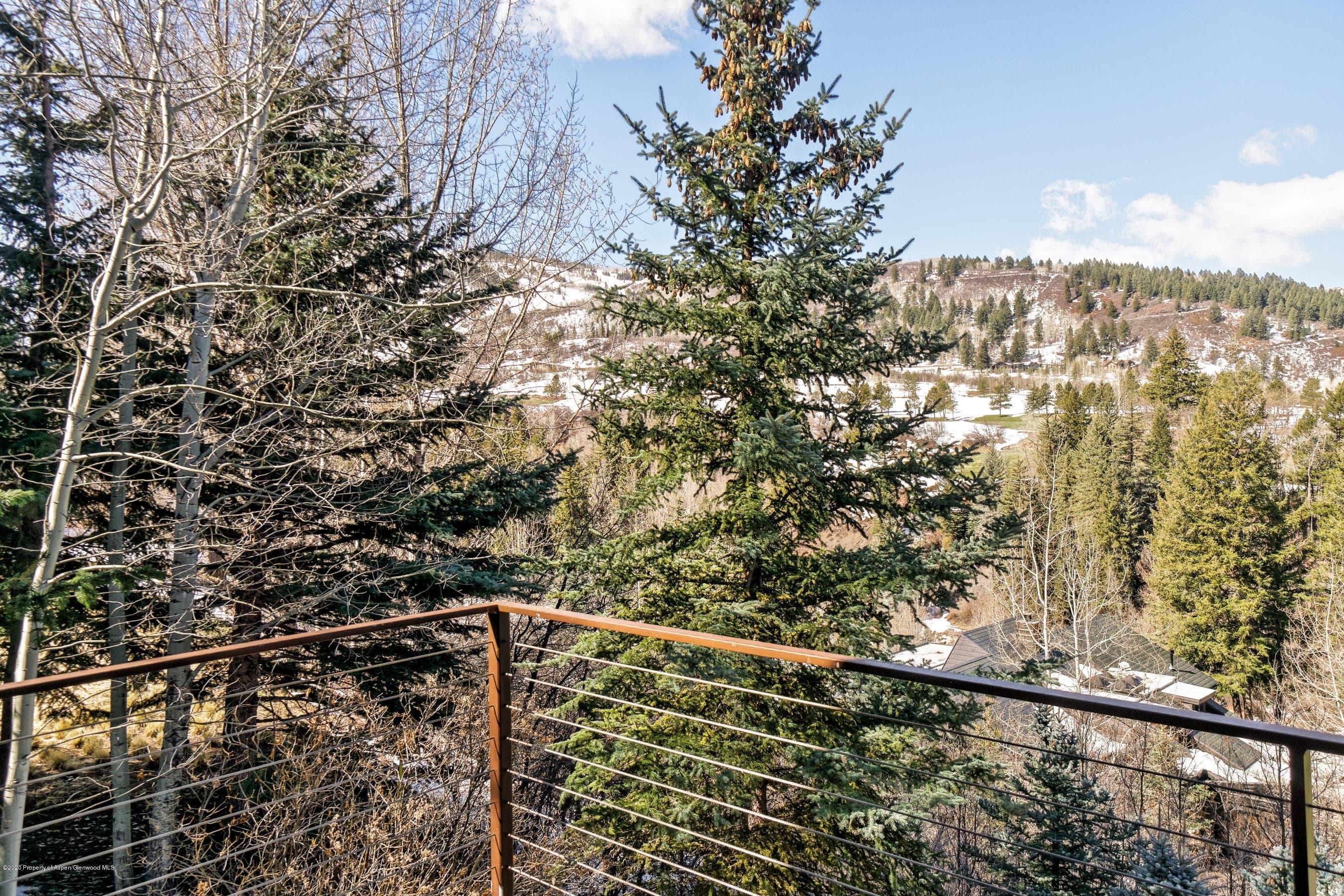 59 Maroon Drive, Aspen, CO 81611 - Photo 38