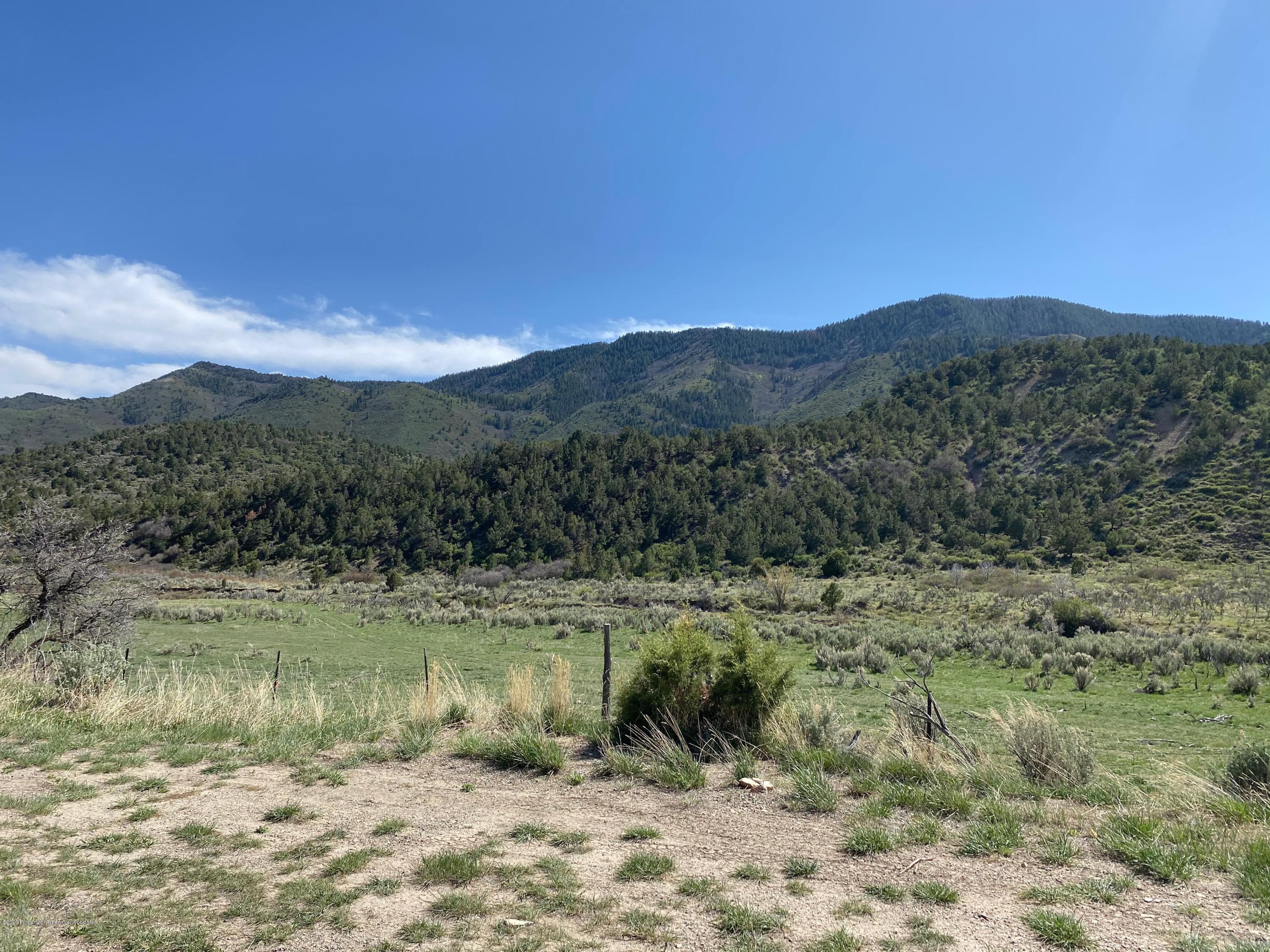 00 W RIFLE CREEK Road, Rifle, CO 81650 - Photo 11