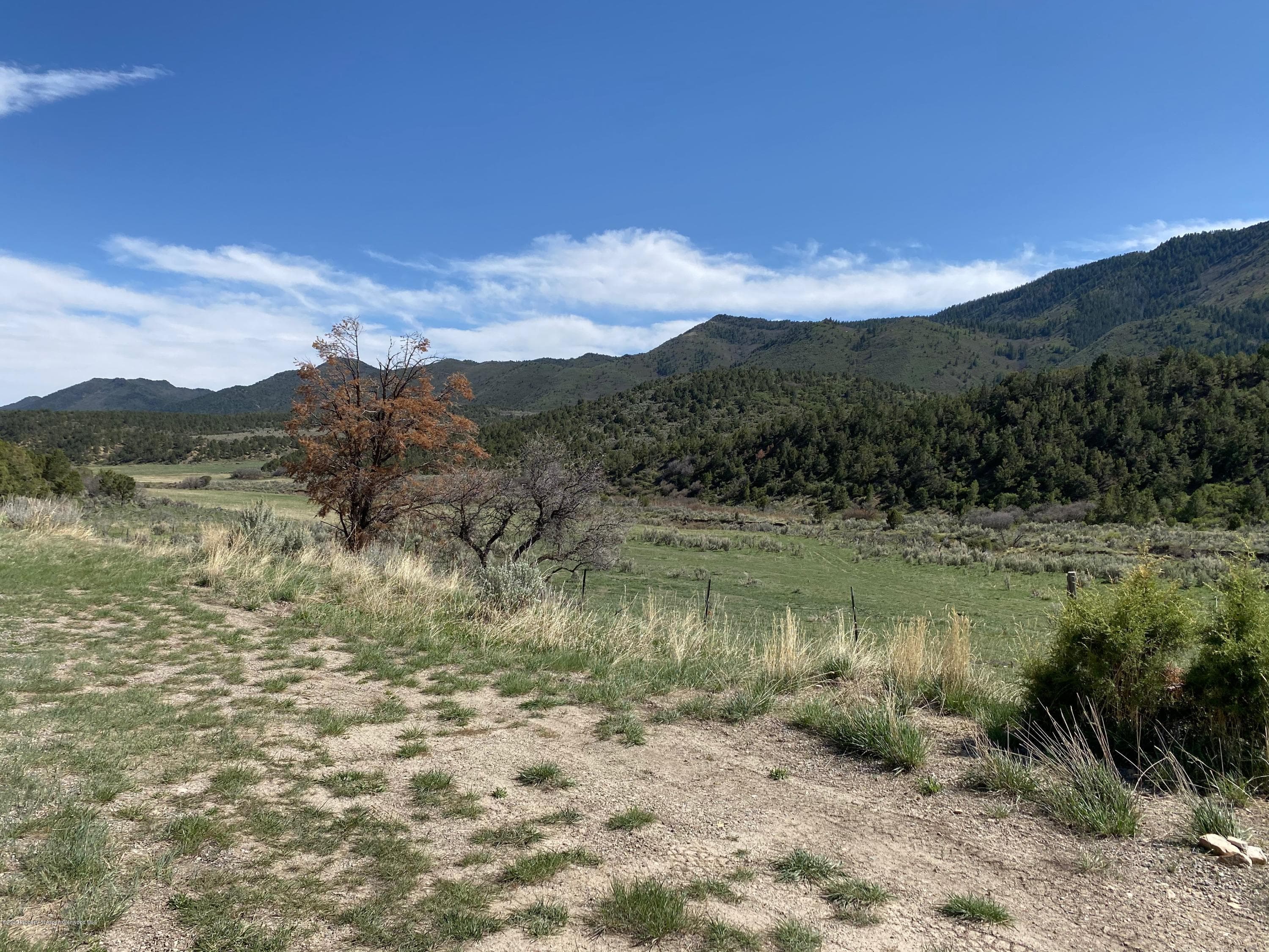 00 W RIFLE CREEK Road, Rifle, CO 81650 - Photo 12