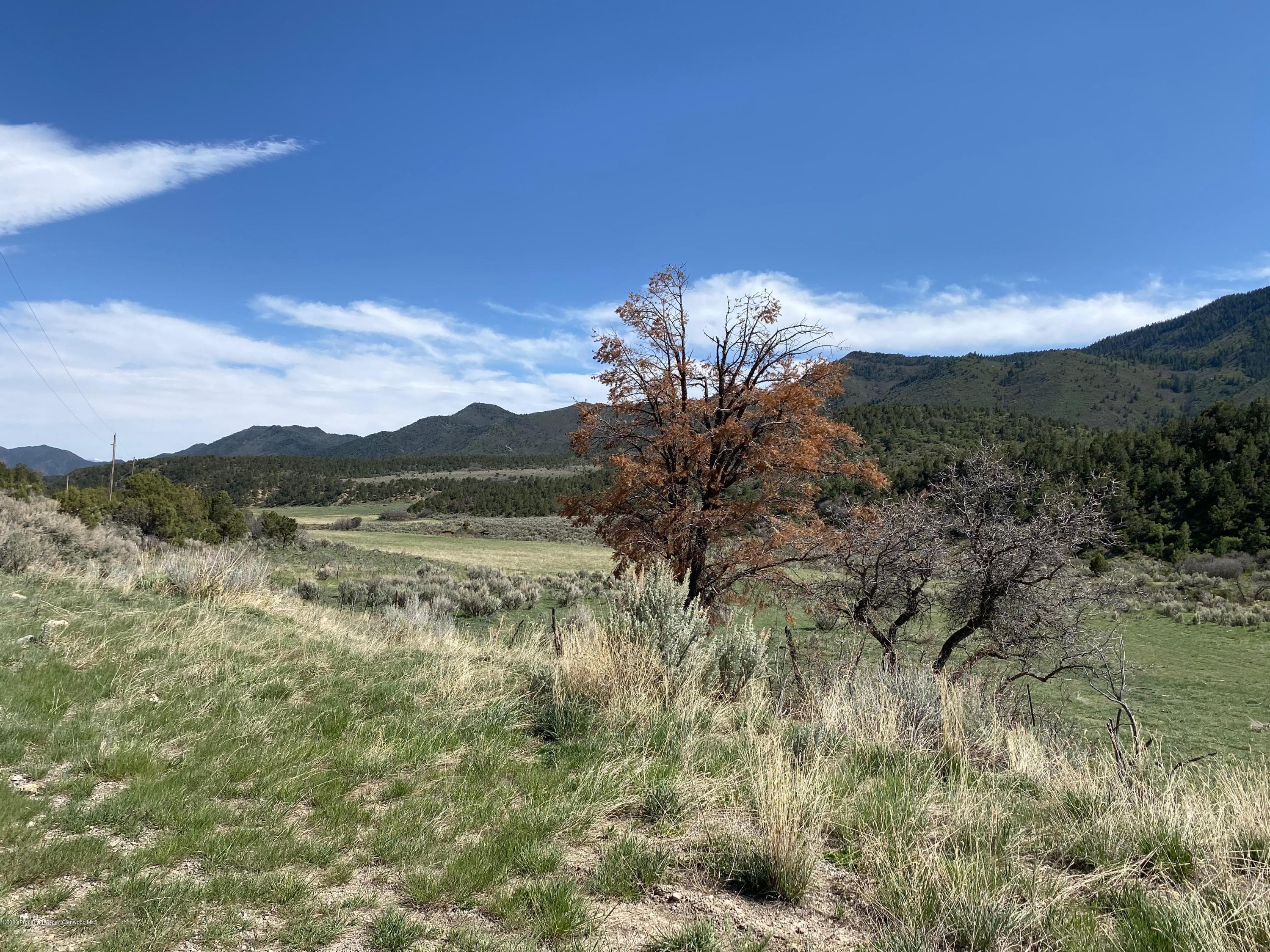 00 W RIFLE CREEK Road, Rifle, CO 81650 - Photo 15