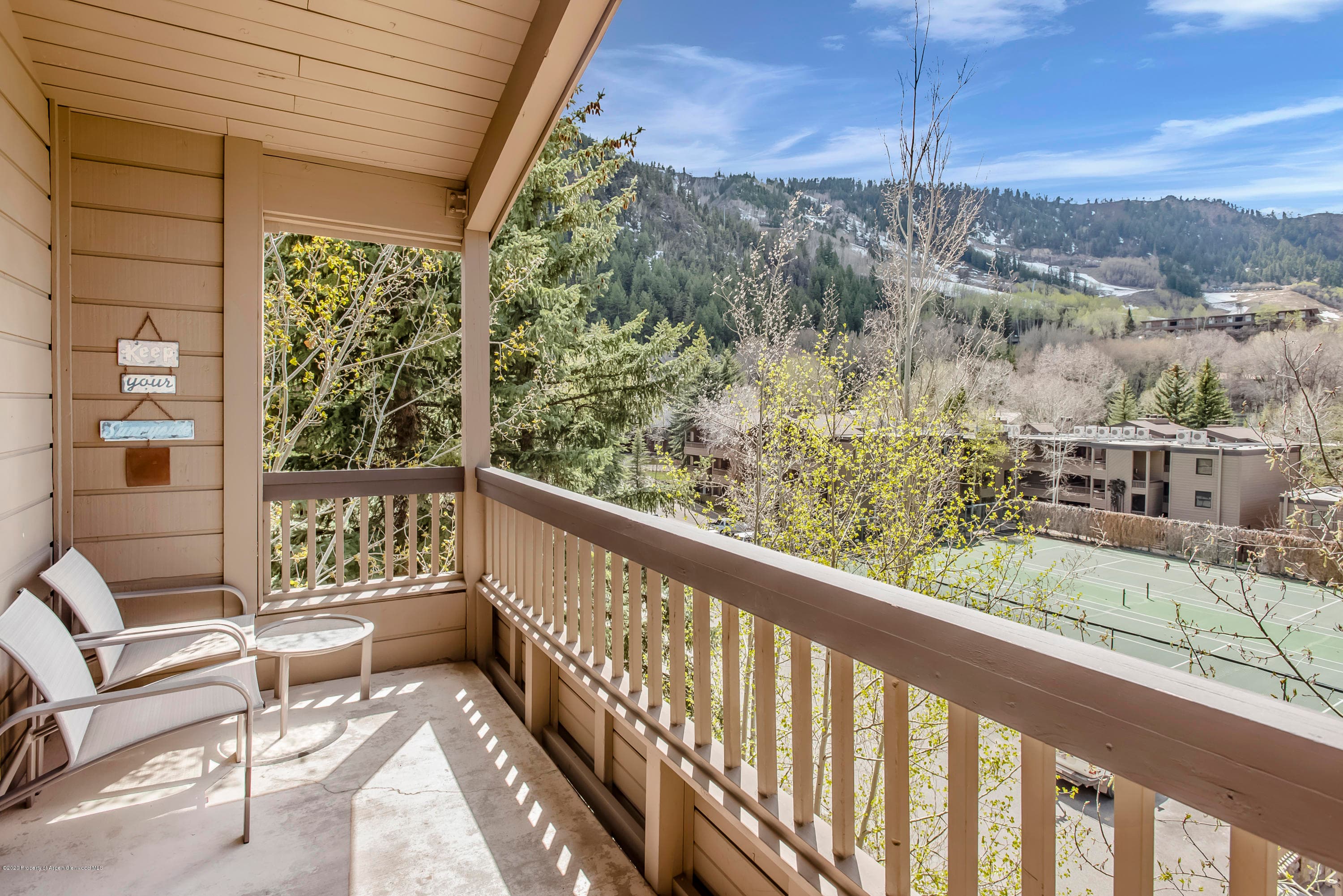 610 S W End Street E401, Aspen, CO 81611 - Photo 4