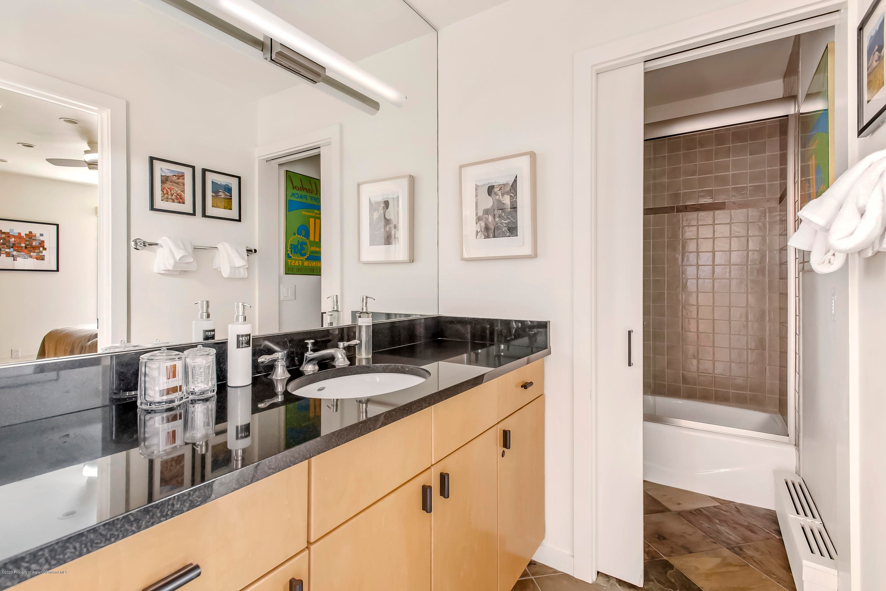 610 S W End Street E401, Aspen, CO 81611 - Photo 13