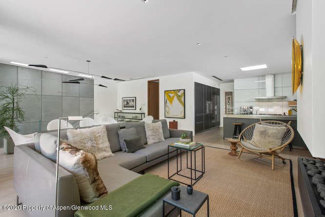 100 E Cooper Avenue 11, Aspen, CO 81611 - Photo 12