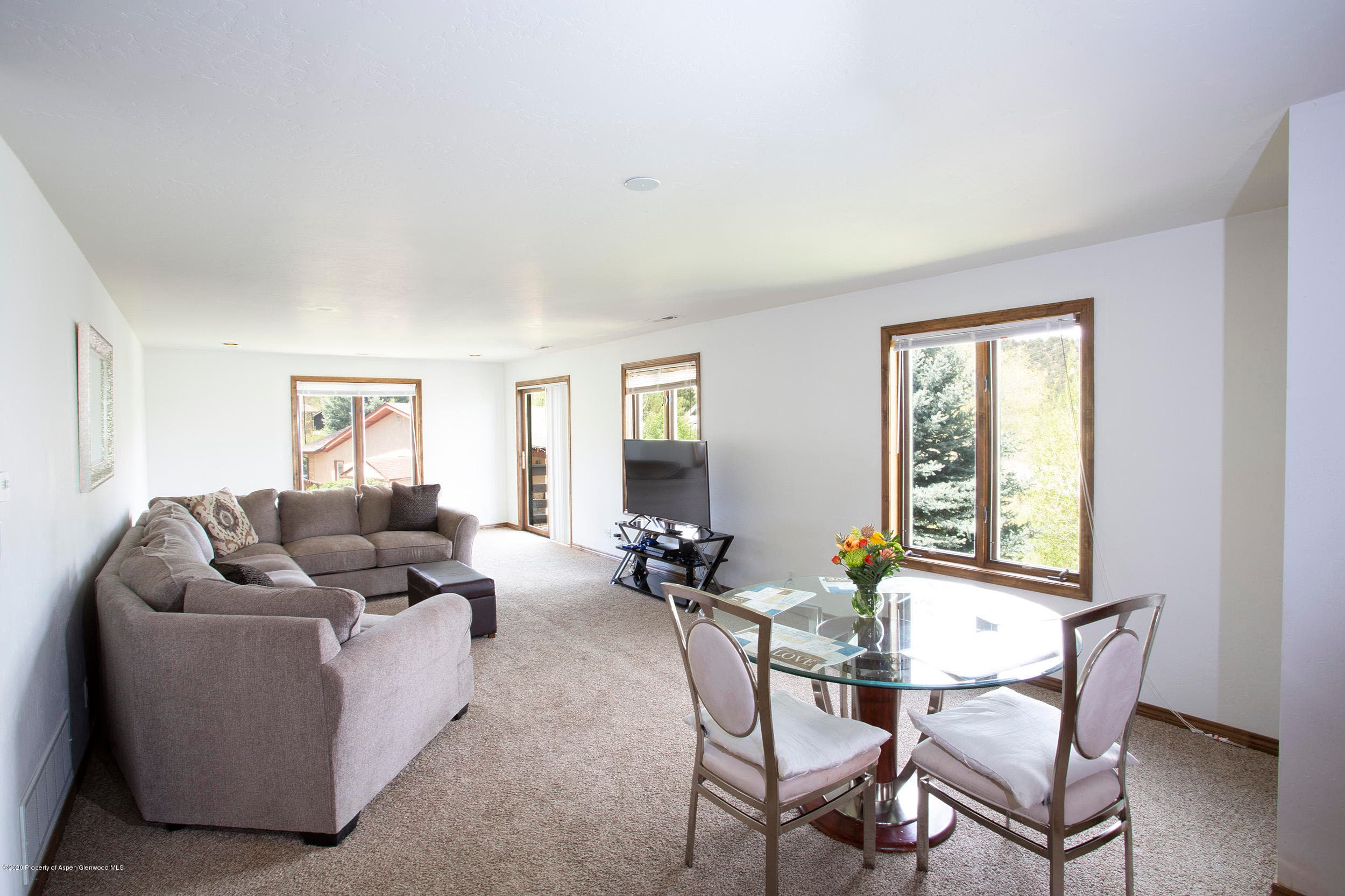 1468 W Main Street, Carbondale, CO 81623 - Photo 6