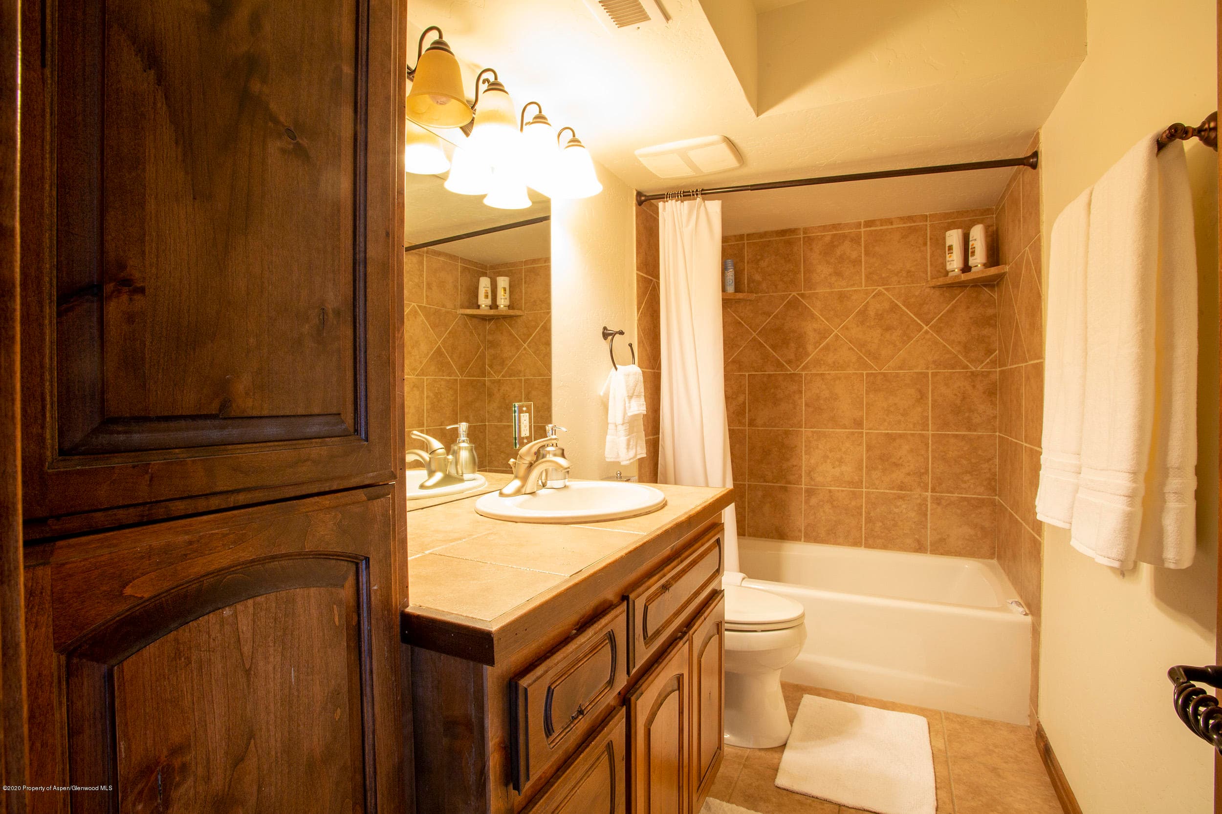 1468 W Main Street, Carbondale, CO 81623 - Photo 10