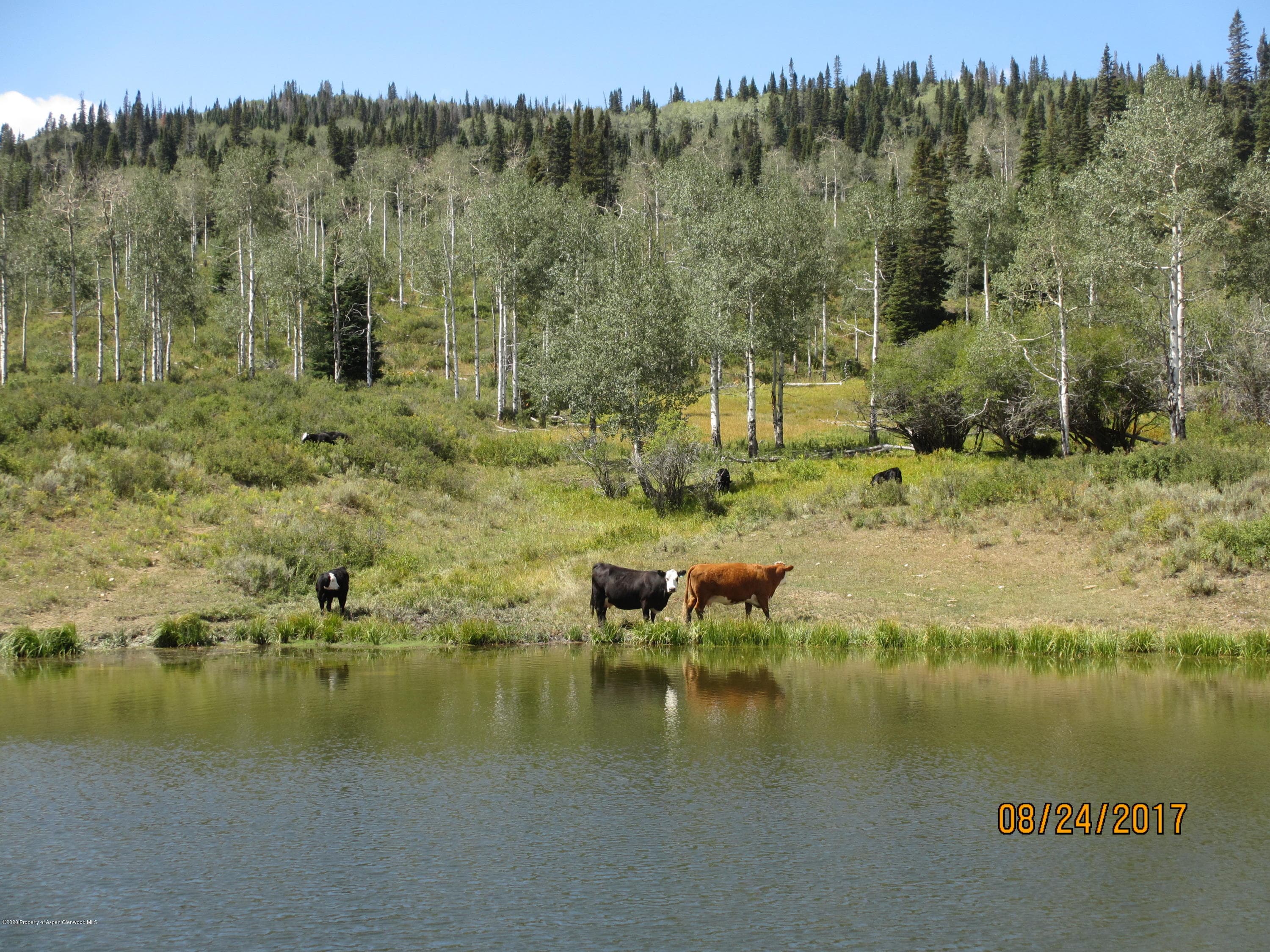 35470 State Highway 134, Toponas, CO 80479 - Photo 17