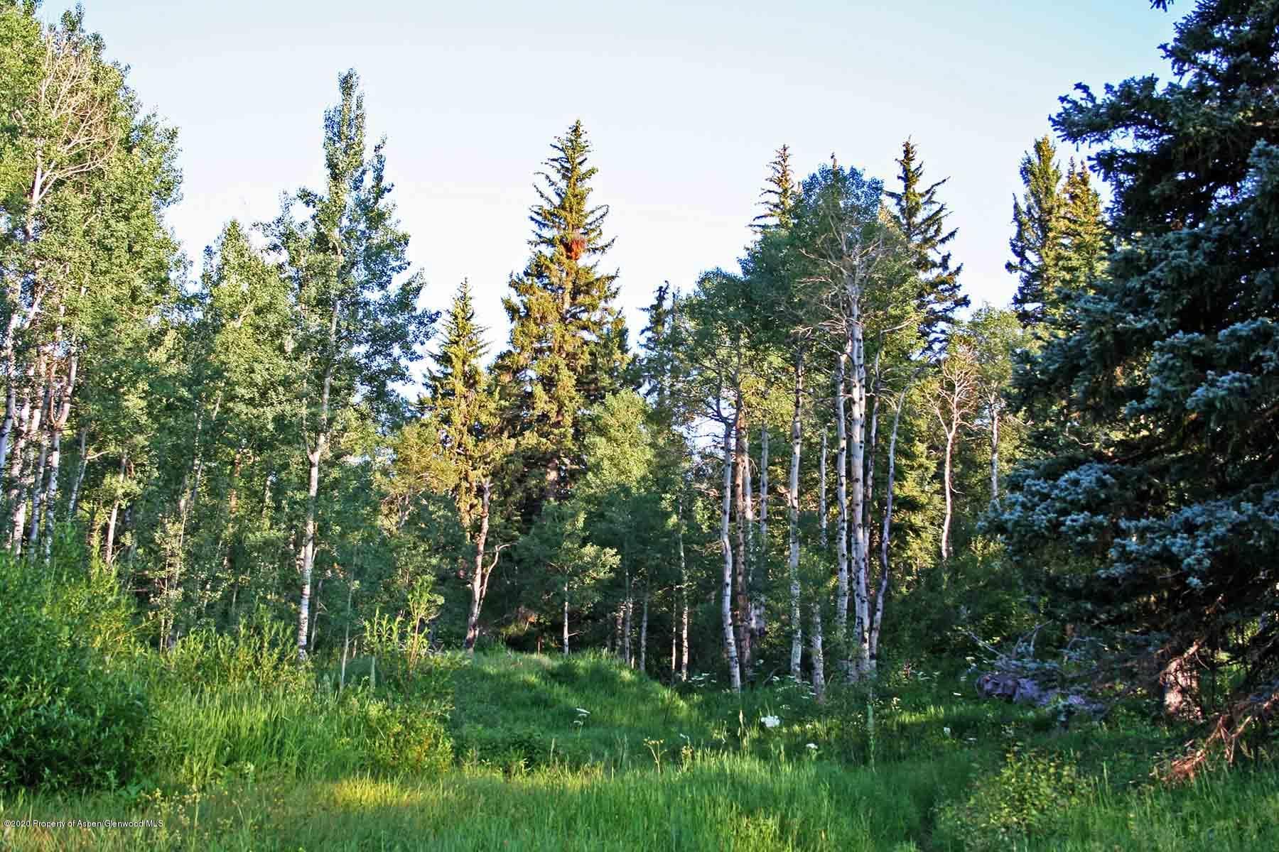 40875 County Road 36, Steamboat, CO 80487 - Photo 25