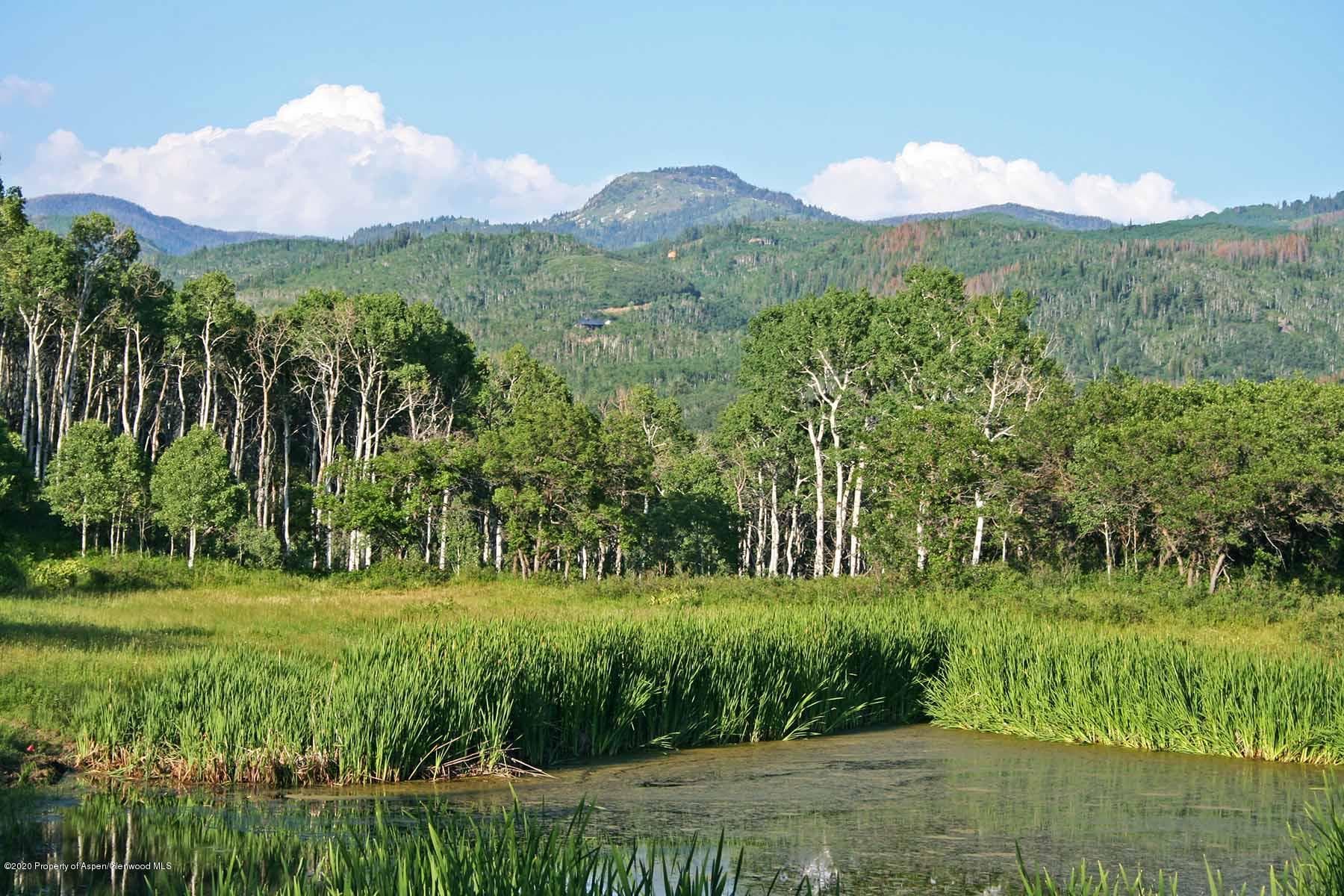 40875 County Road 36, Steamboat, CO 80487 - Photo 34