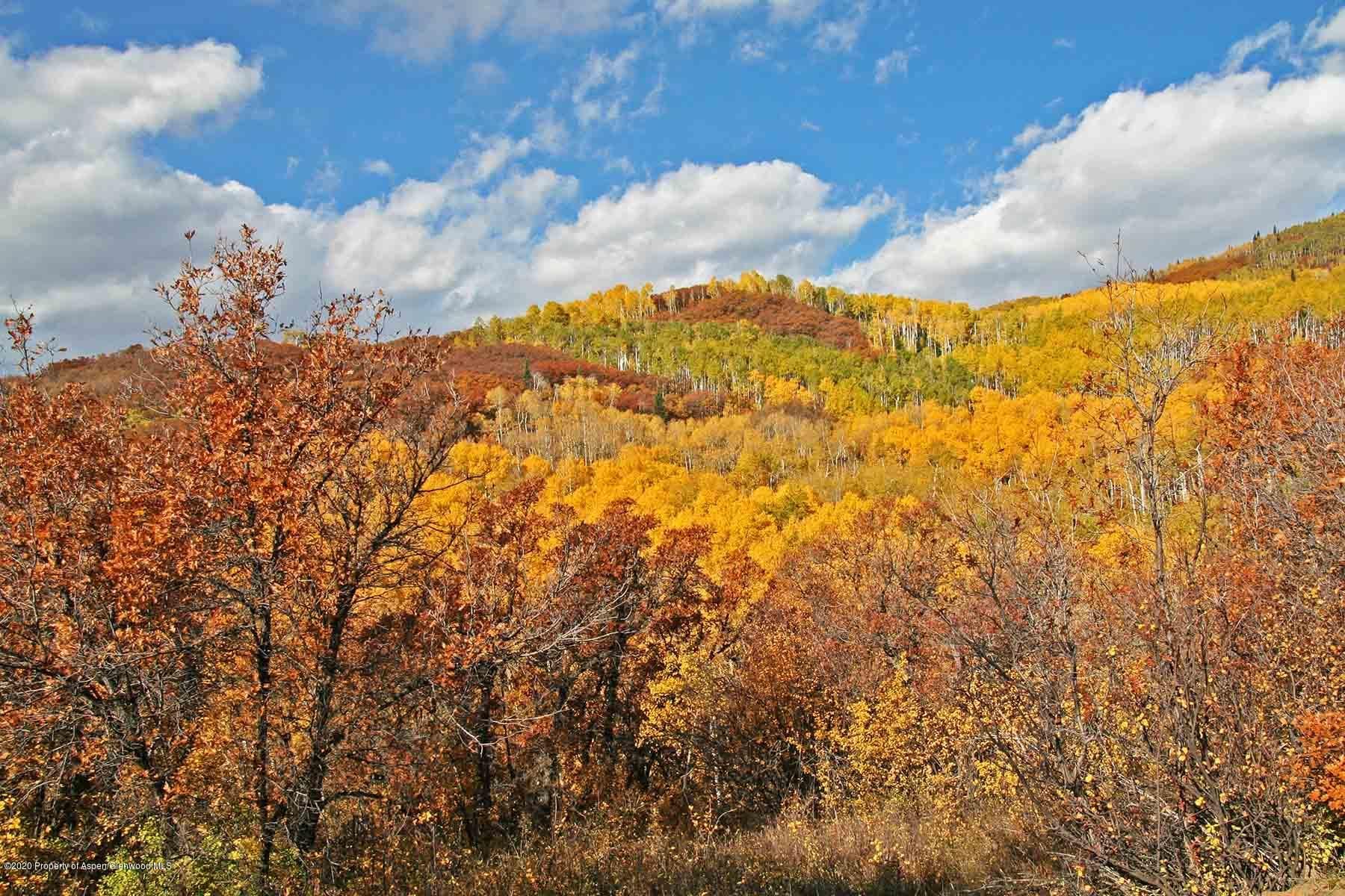 40875 County Road 36, Steamboat, CO 80487 - Photo 31