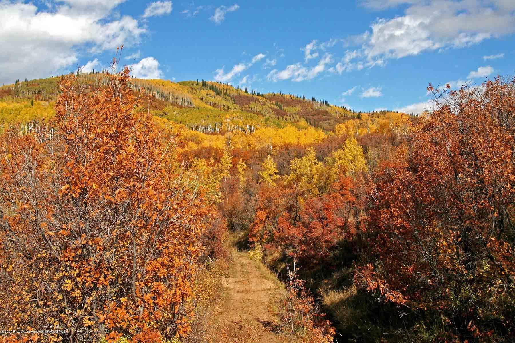 40875 County Road 36, Steamboat, CO 80487 - Photo 23