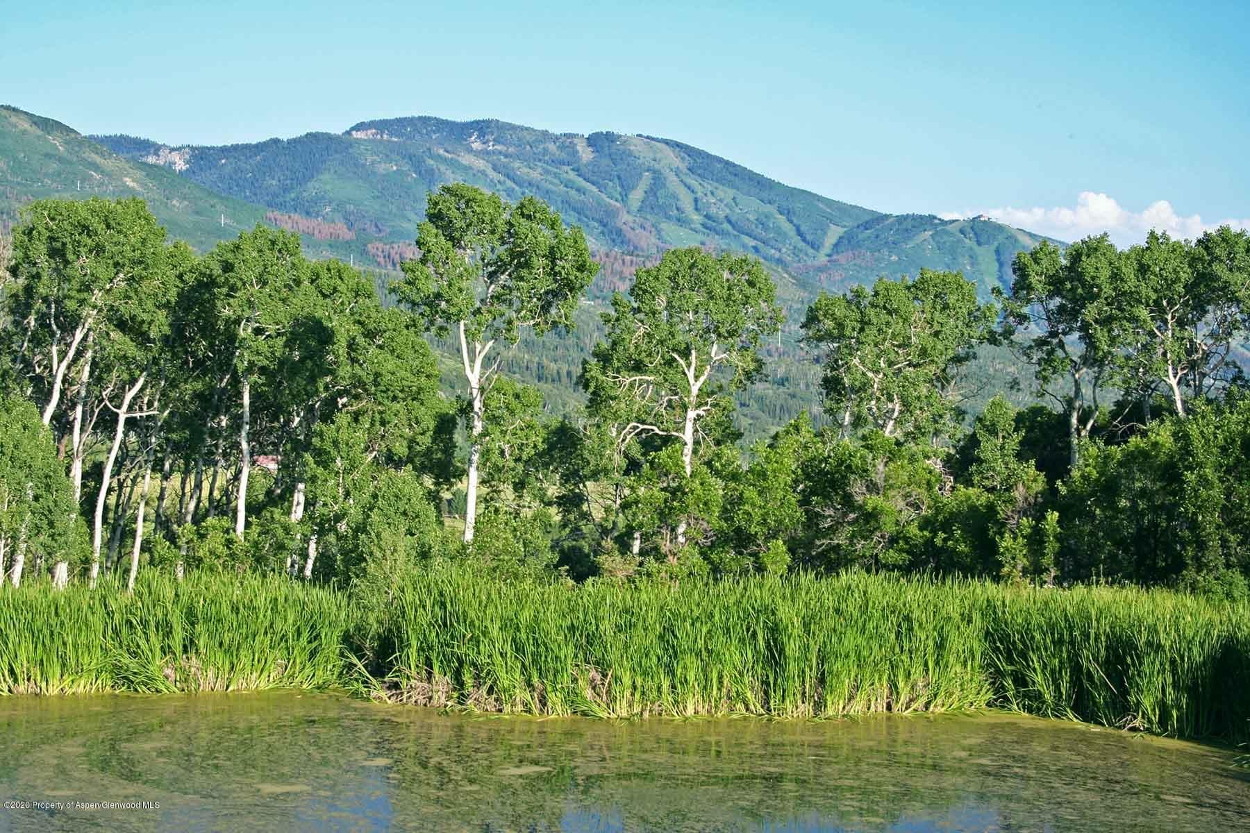 40875 County Road 36, Steamboat, CO 80487 - Photo 24