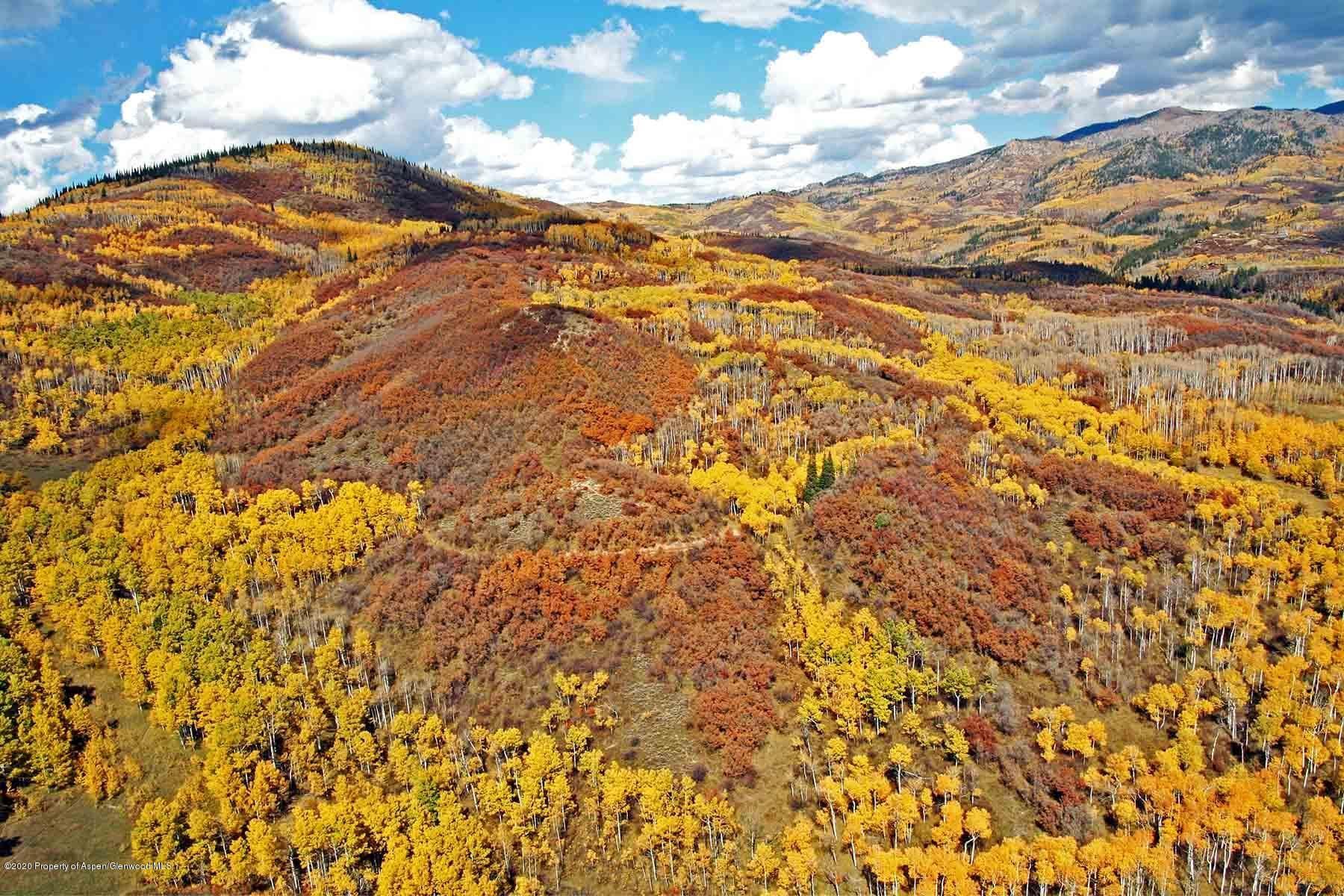 40875 County Road 36, Steamboat, CO 80487 - Photo 22