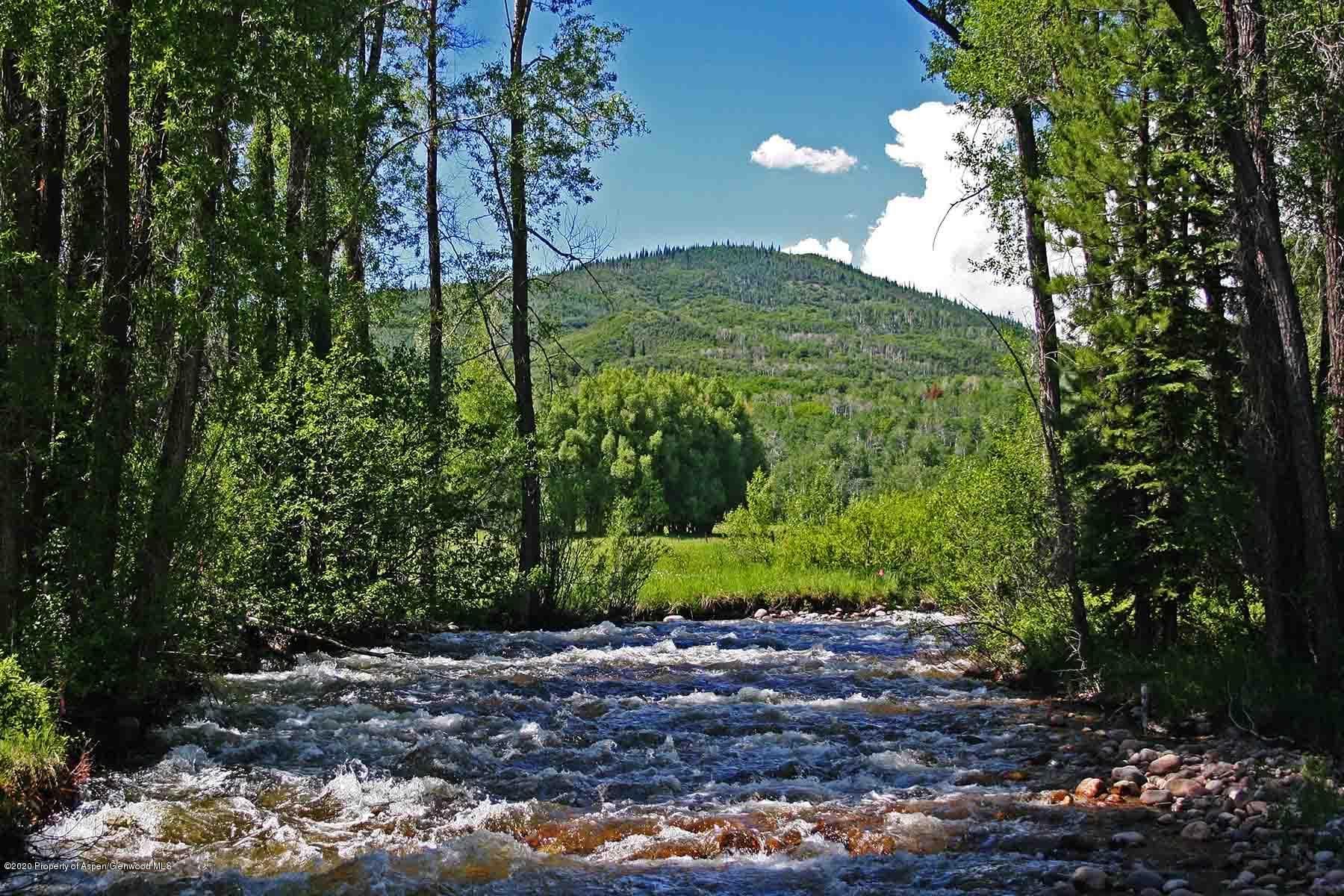 40875 County Road 36, Steamboat, CO 80487 - Photo 14