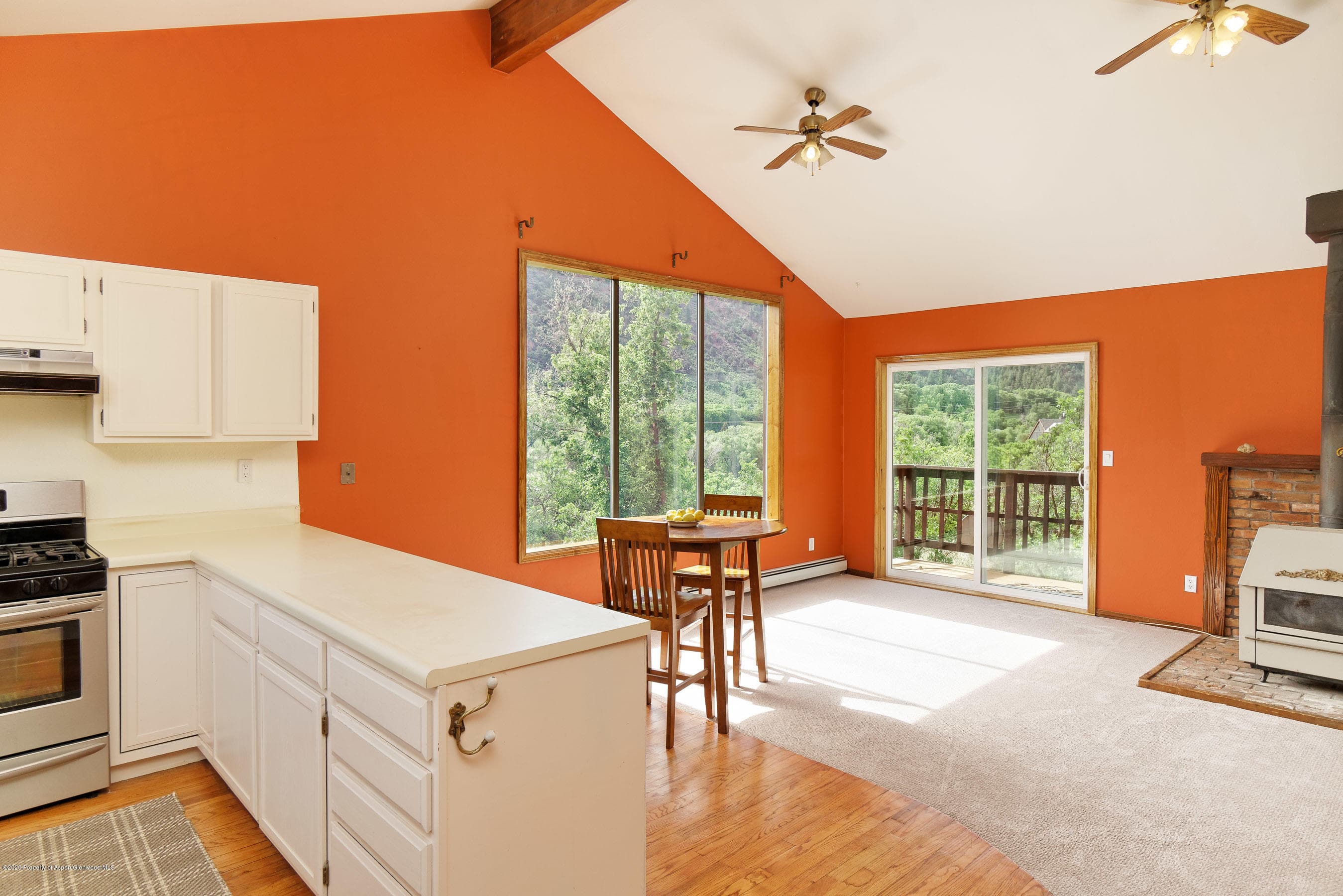 278 Red Dog Road, Carbondale, CO 81623 - Photo 12