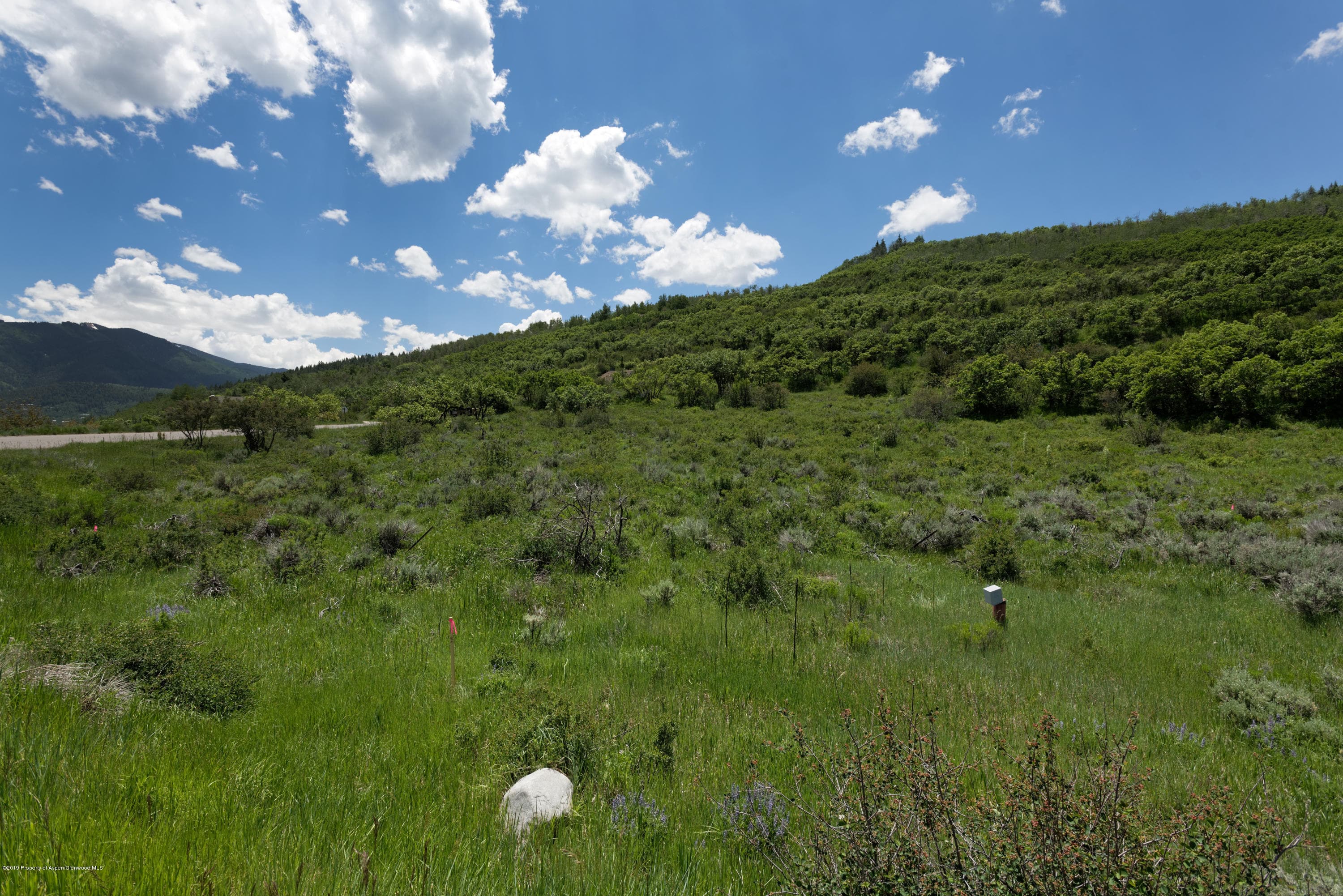 TBD W Buttermilk Road, Aspen, CO 81611 - Photo 7