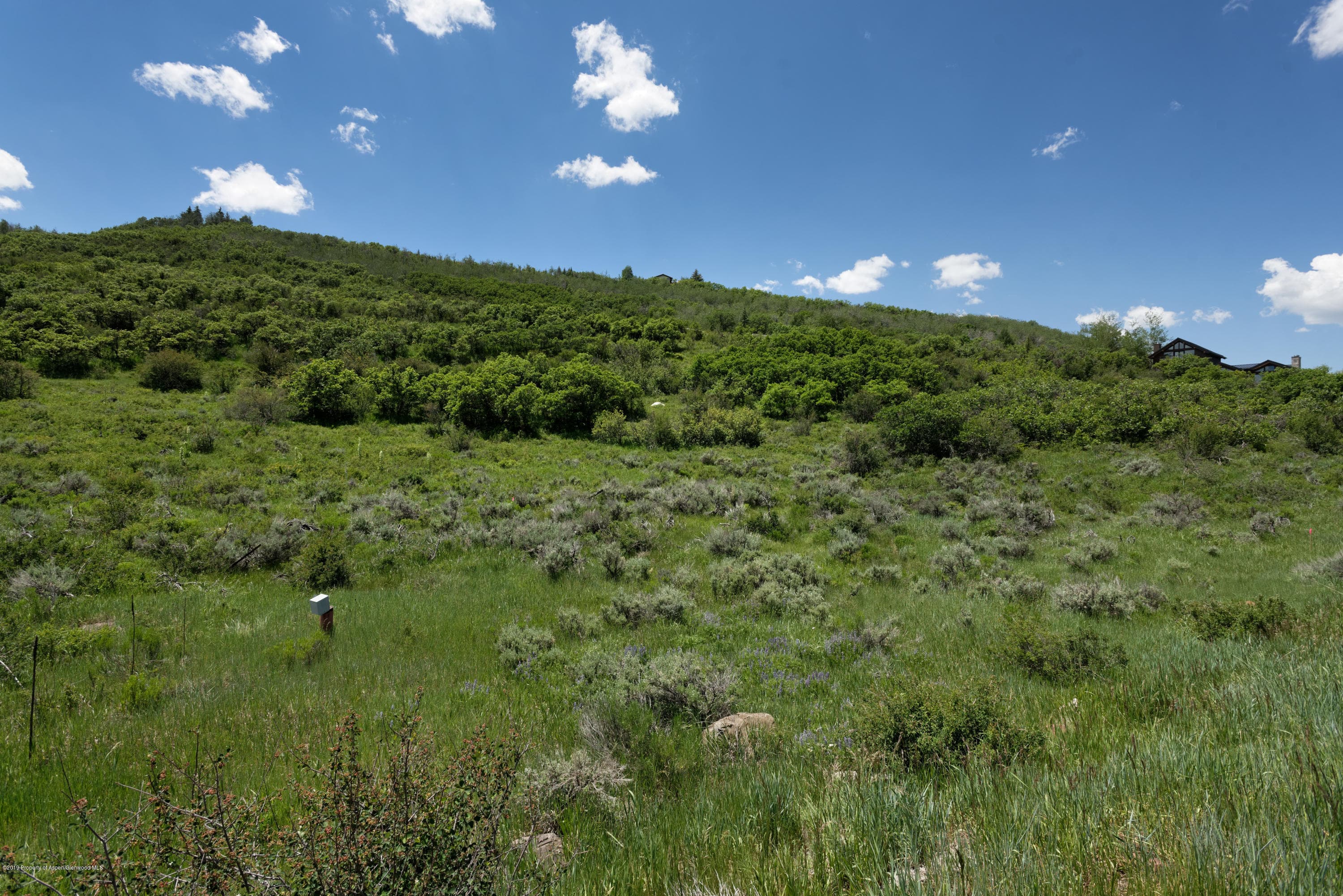 TBD W Buttermilk Road, Aspen, CO 81611 - Photo 8